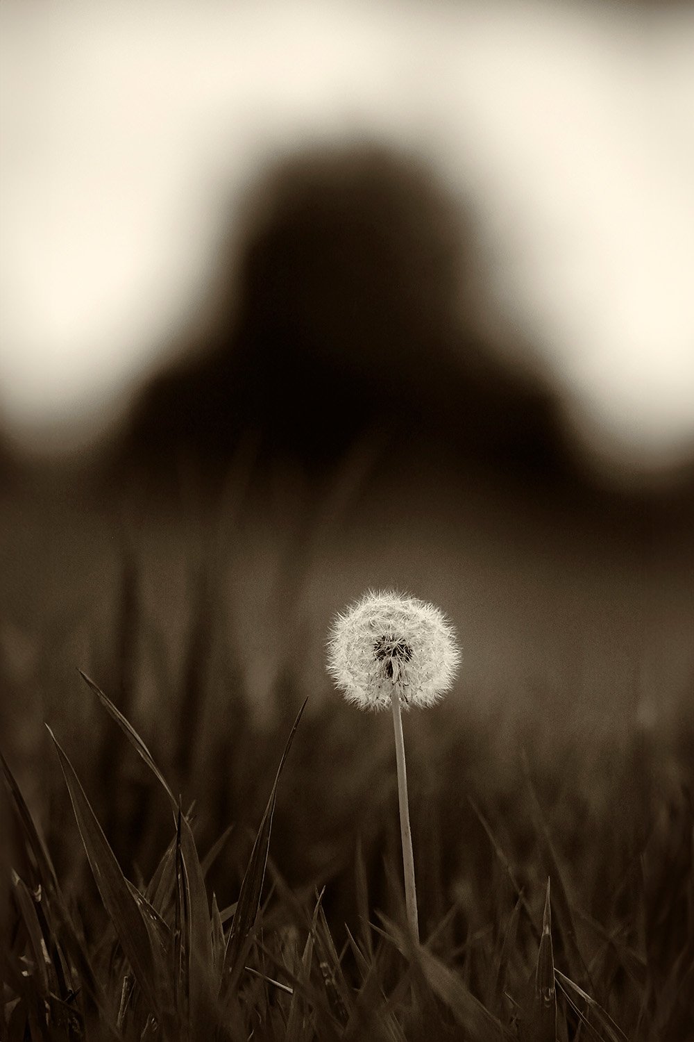 Before the Breath Fine Art Print