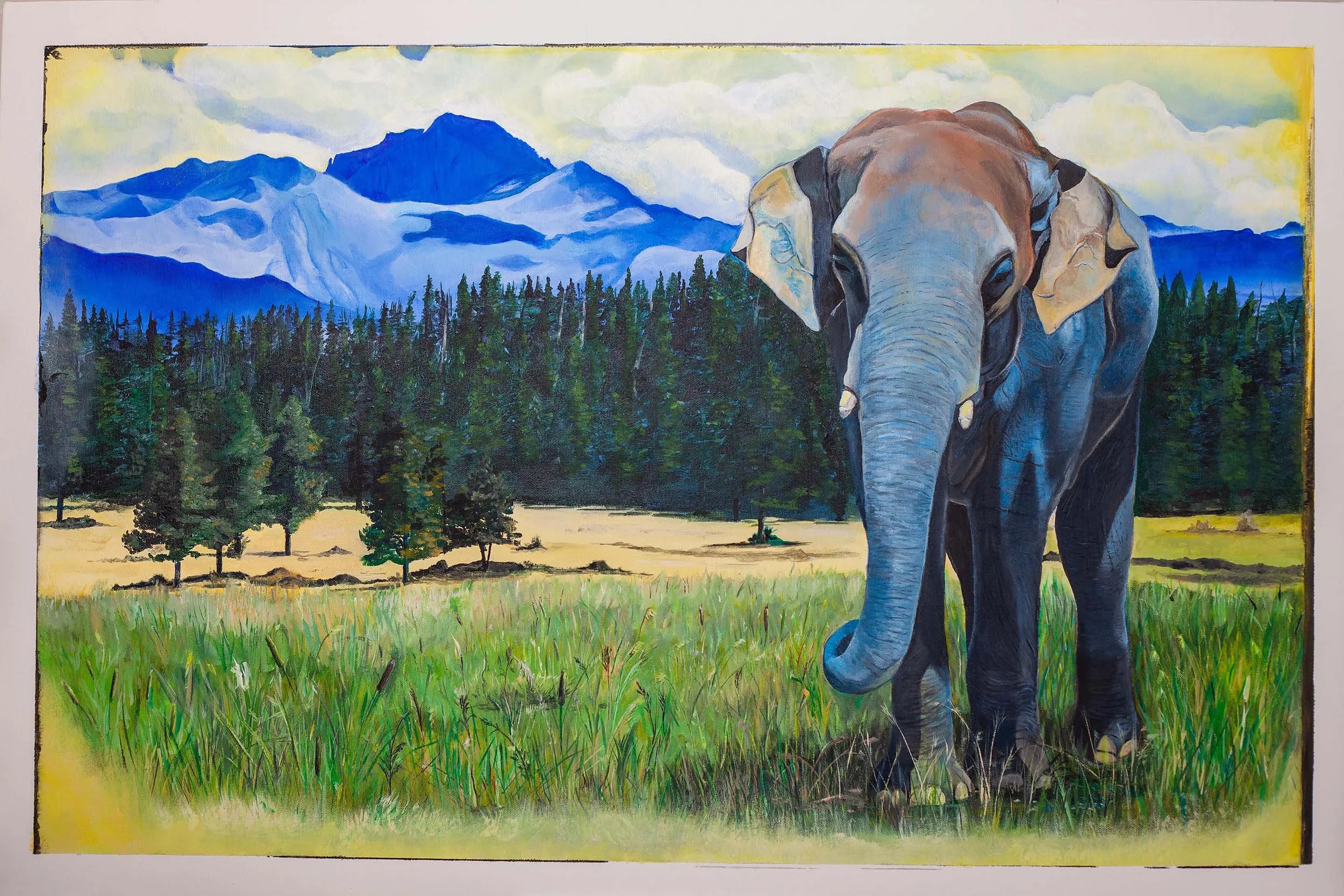 There's An Elephant in Beaver Meadows Fine Art Print