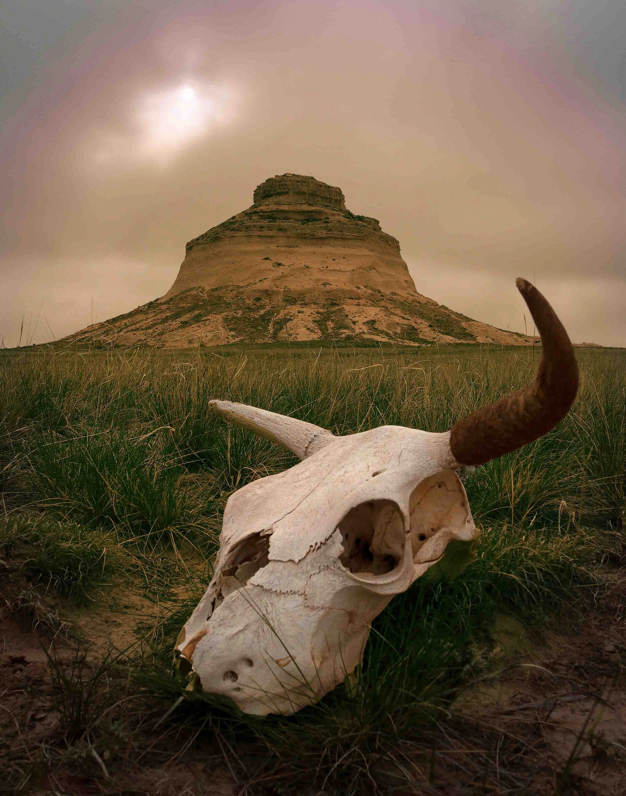 Centennial Fine Art Print