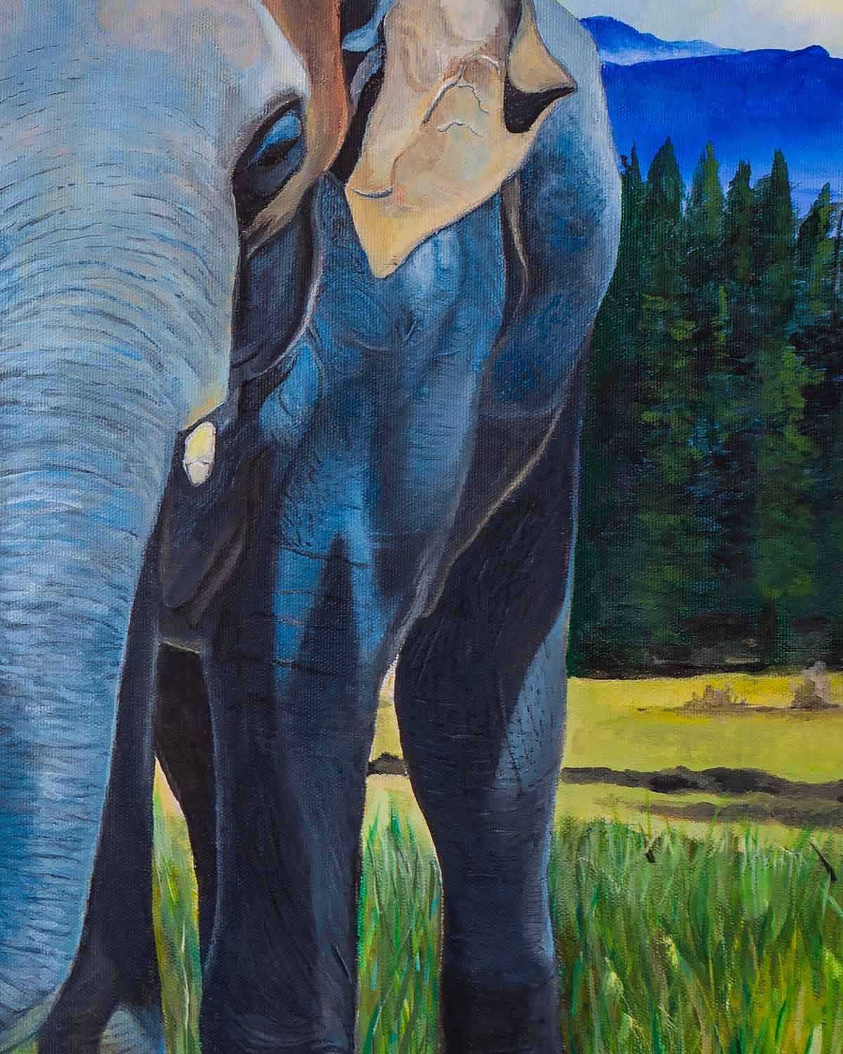 elephant in beaver meadows c1.jpg