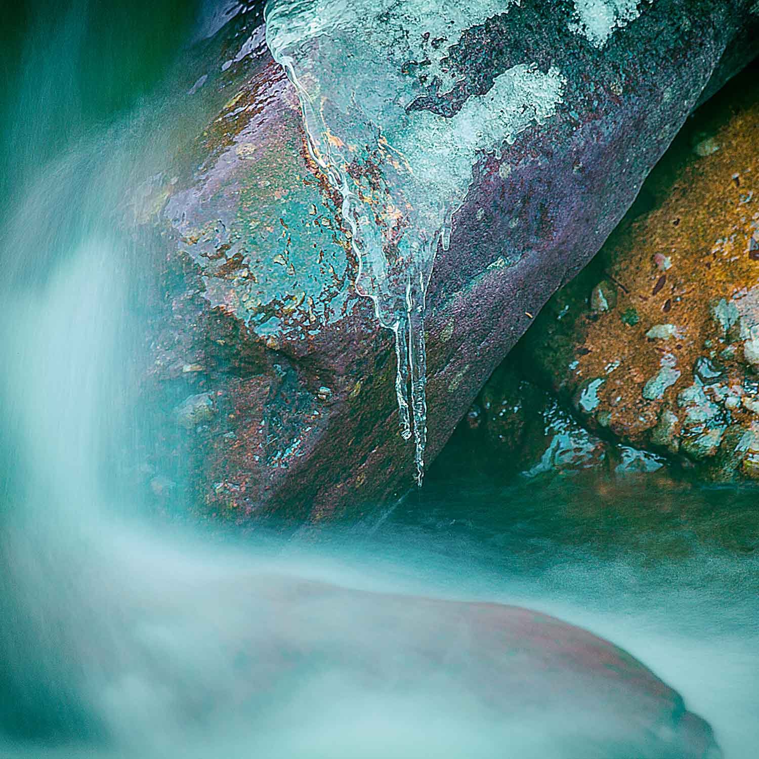 Where Color Settles Fine Art Print