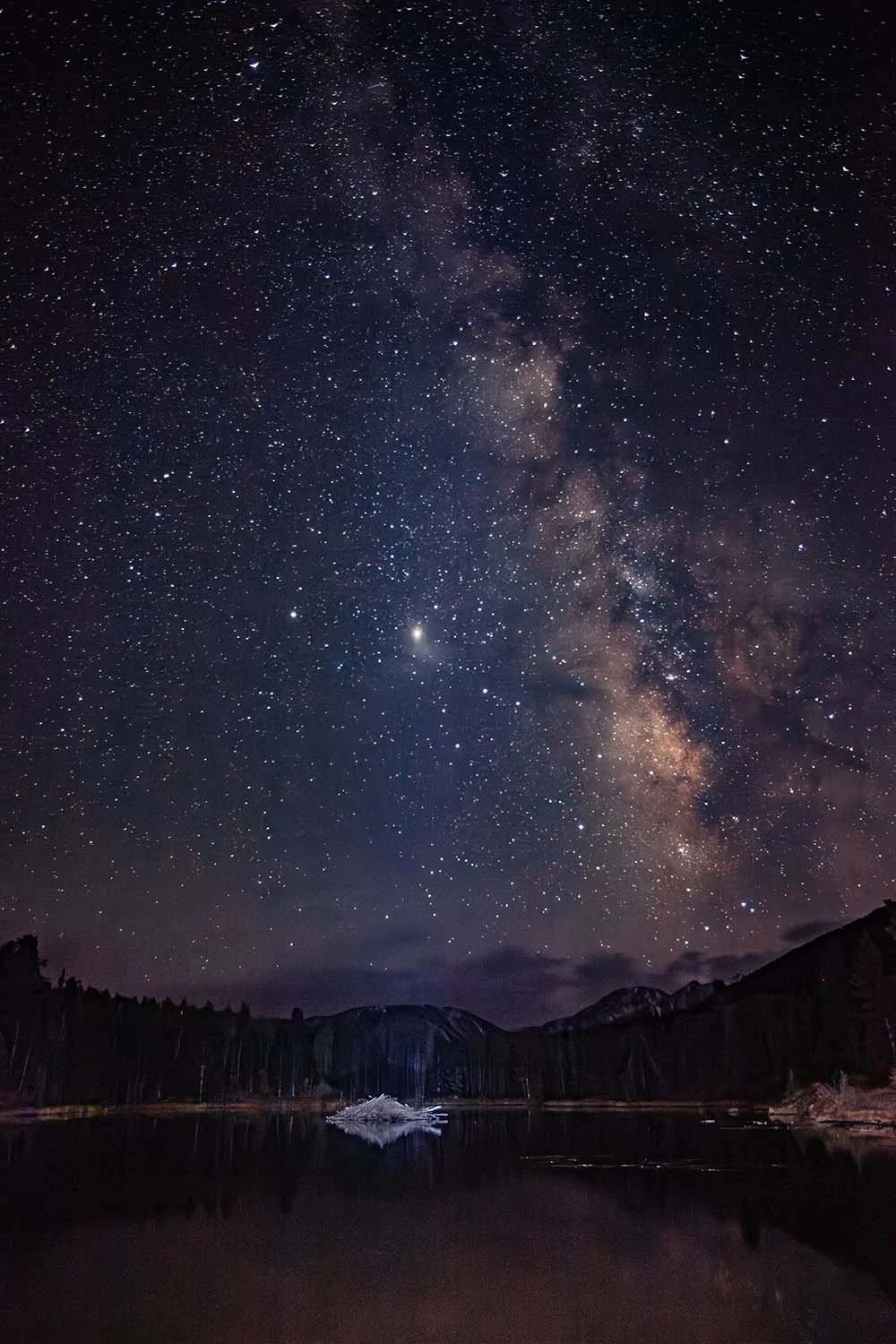 The Long Night Fine Art Print