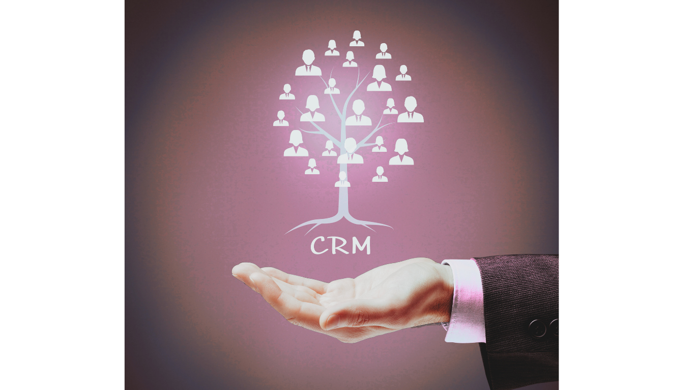 Database/CRM Organization ($500 - $2,000)