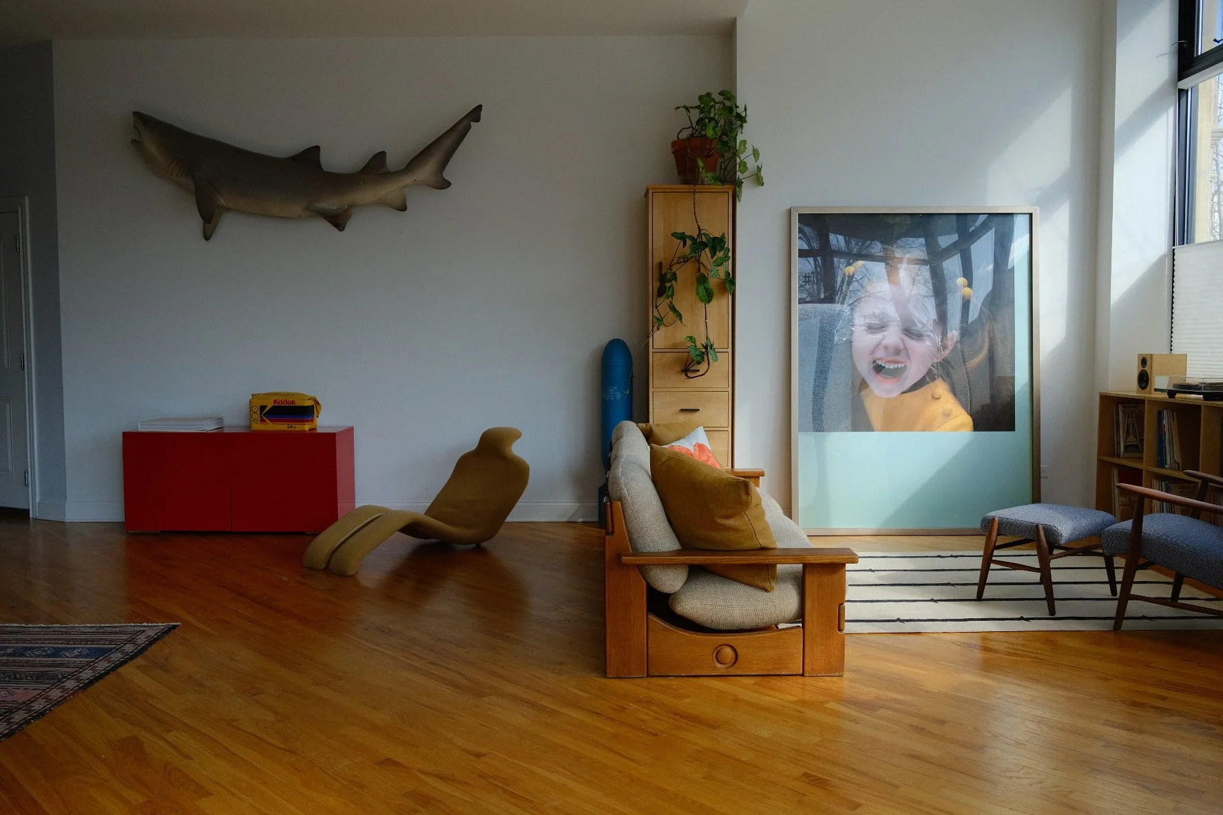 A living room with wooden flooring, a mounted shark on the wall, a red cabinet with yellow and blue boxes, a brown lounge chair, a beige couch with orange pillows, a striped black and white rug, a wooden bookshelf, and a large framed photo of a young