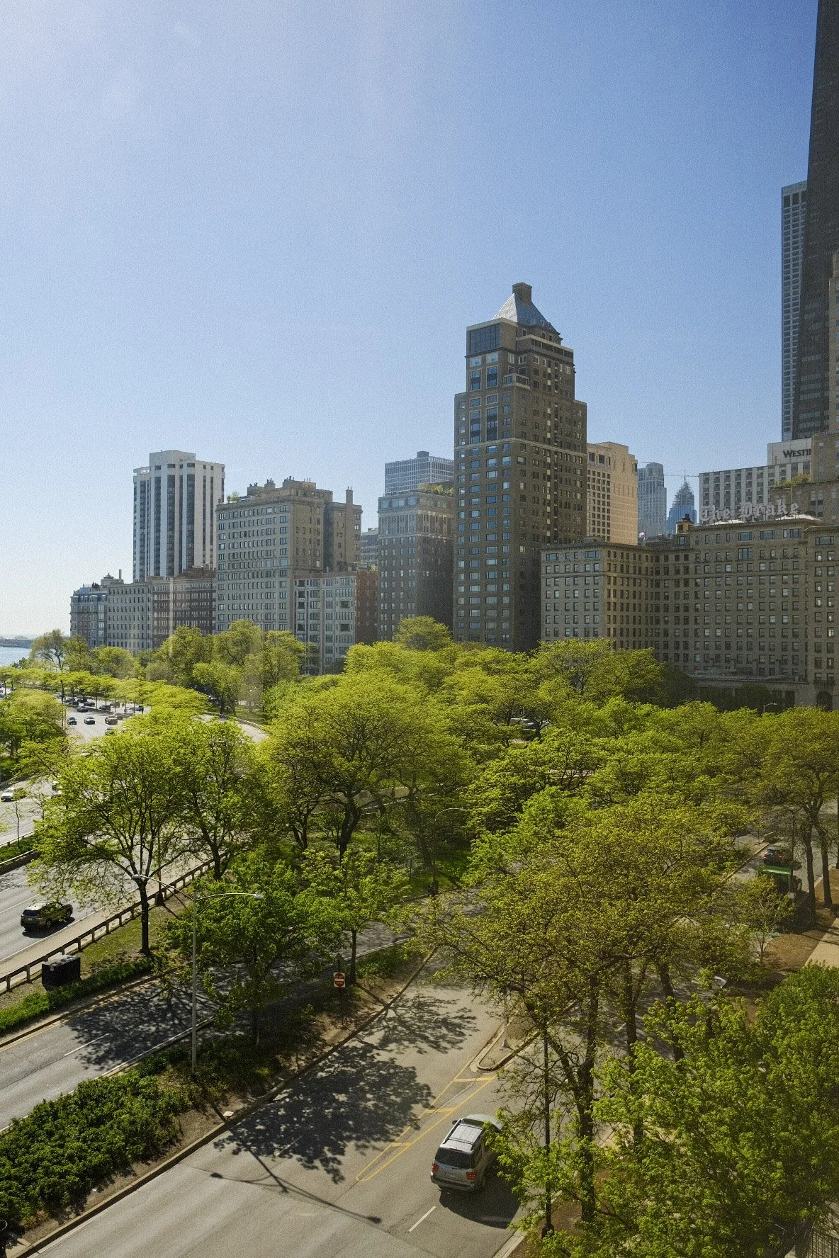 Chicago skyline with tall buildings and green trees in the foreground on a sunny day. Overlooking Lake Shore Drive.