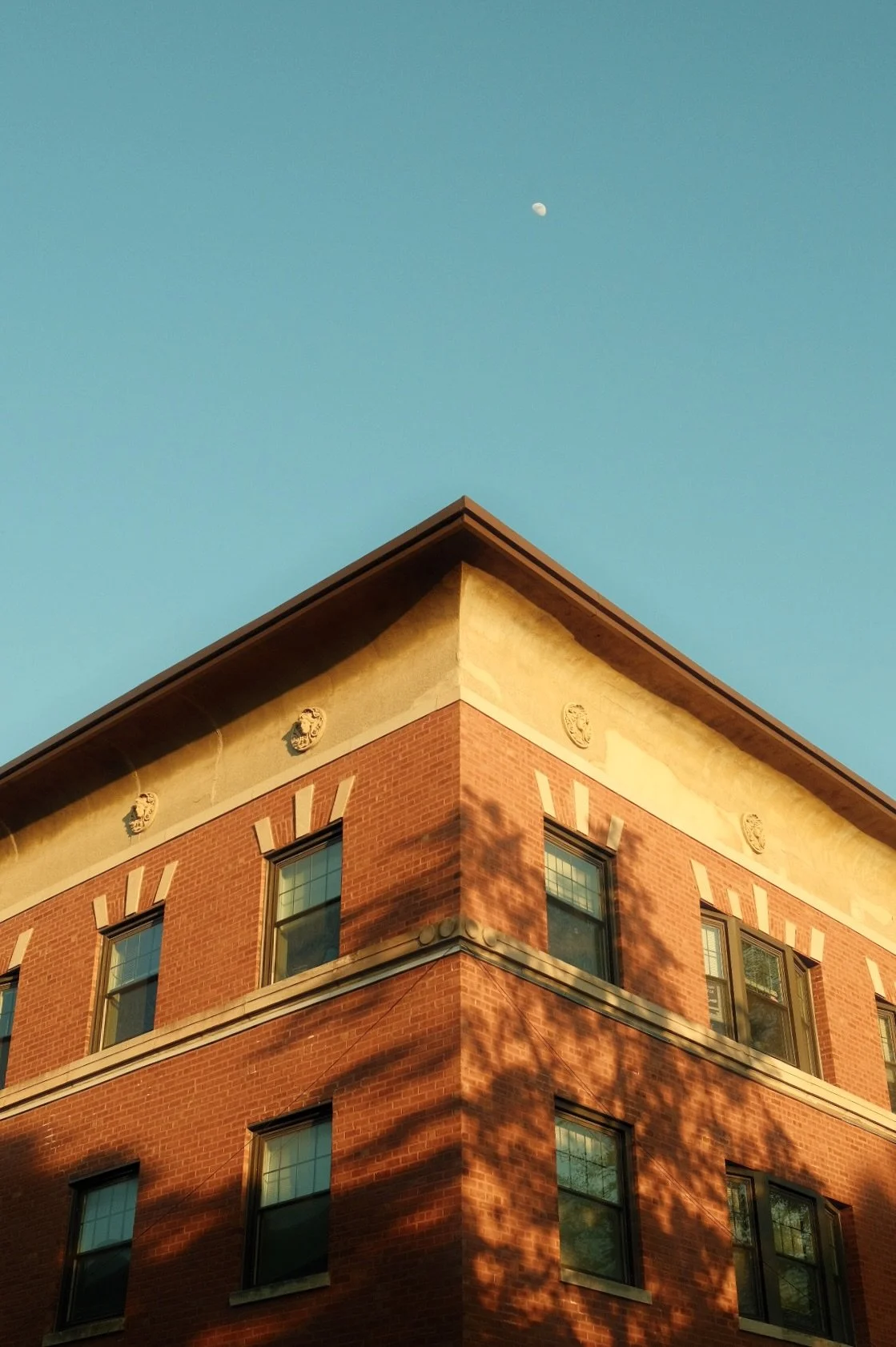 Corner of a brick building in Logan Square Chicago with windows, decorated with stone medallions near the roofline, under a clear blue sky with visible moon and shadows of tree branches.