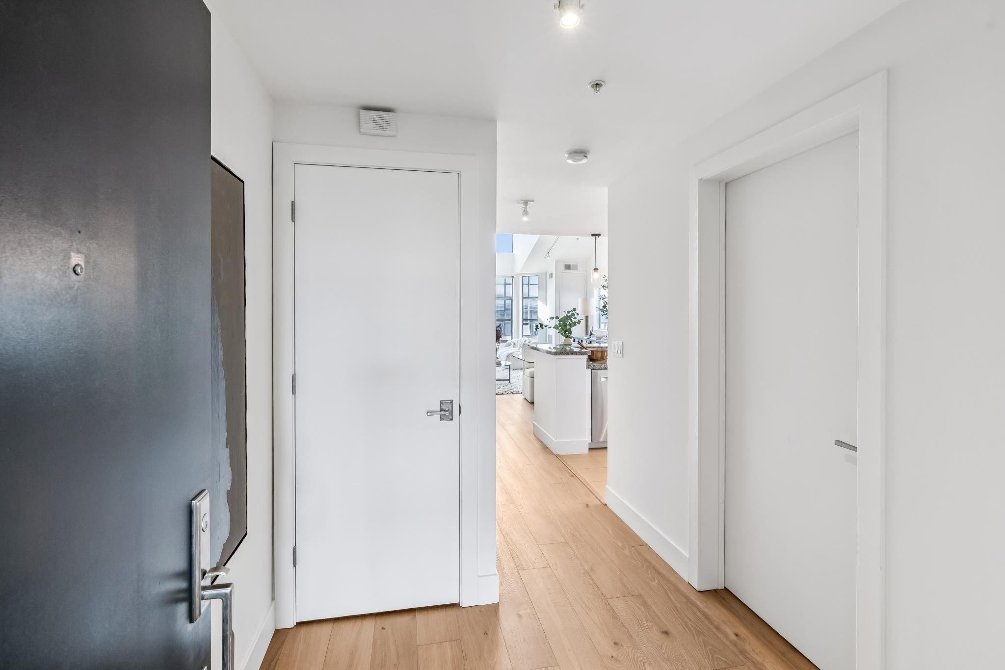 View from an apartment hallway into the living room with large windows, potted plant, and modern furniture.