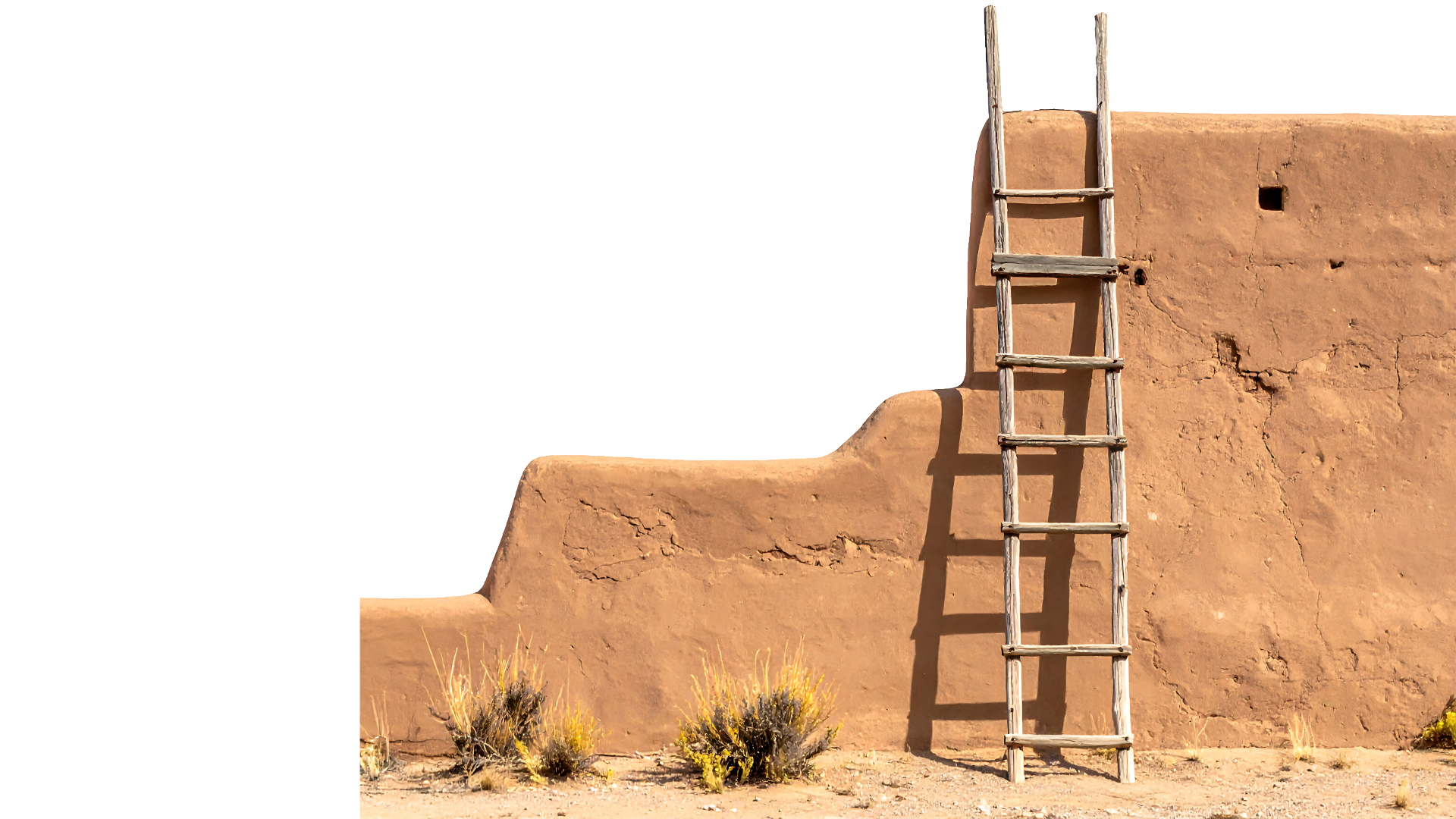 Wooden ladder leaning against a textured, adobe-style wall with small square openings, in a desert setting with sparse vegetation.