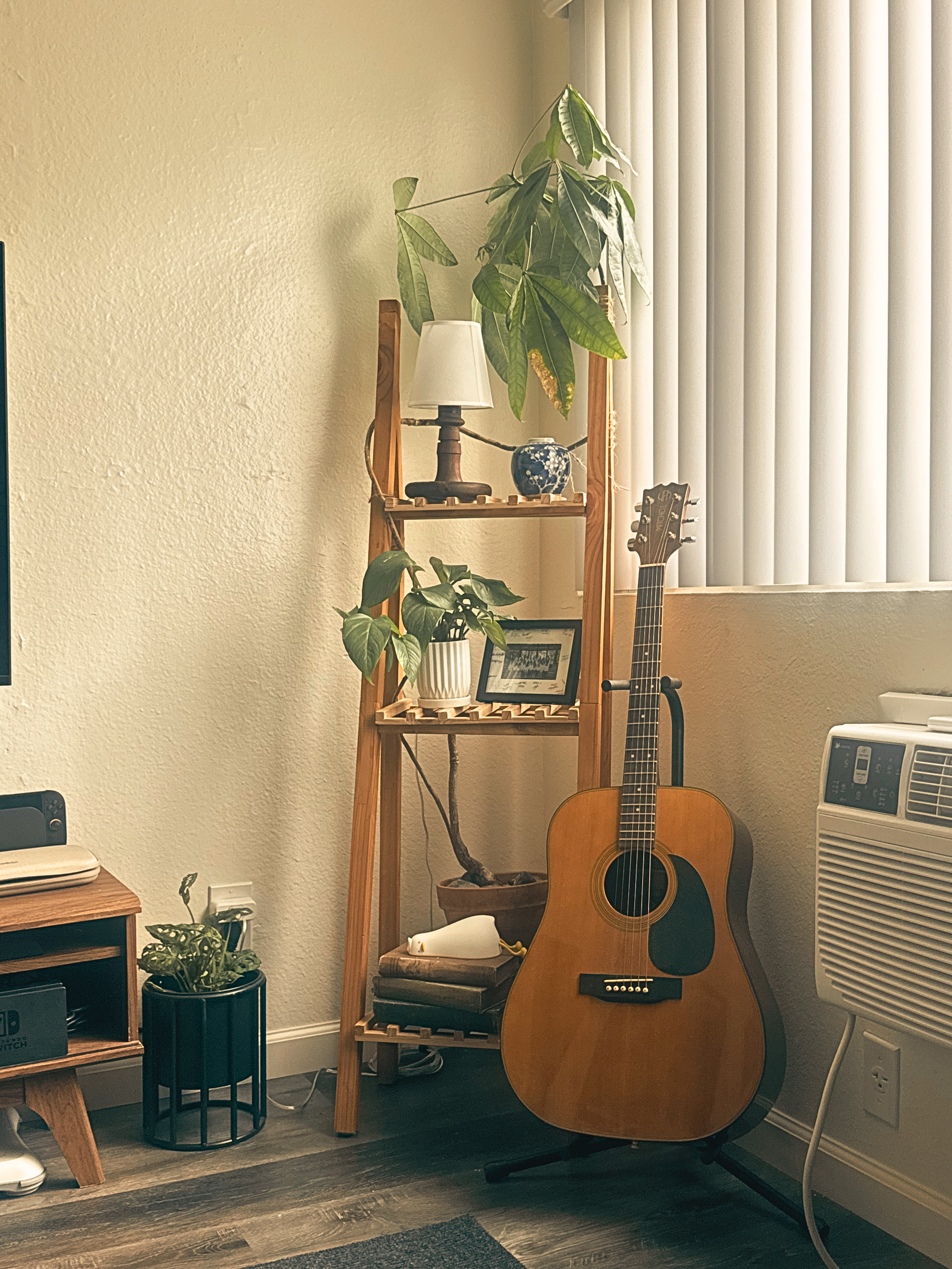 Plant stand - Money tree - Douglas fir 2x4, Epipremnum aureum, Pachira aquatica