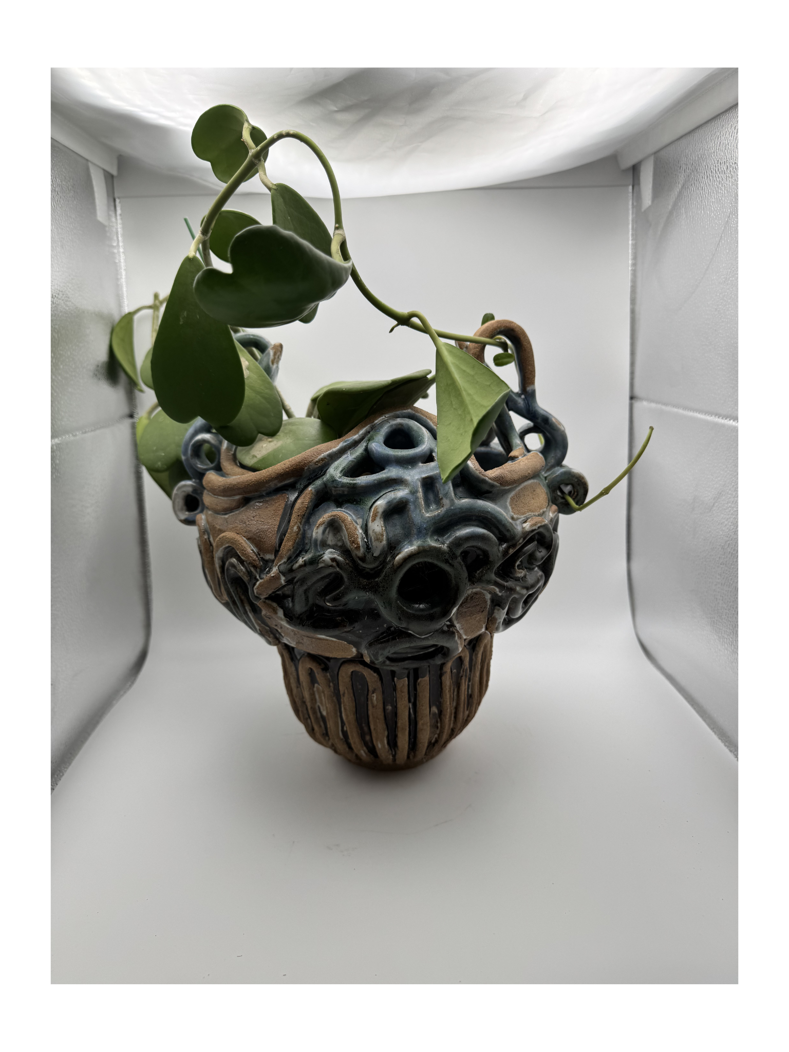 Heartbeat - Jōmon period inspired pot - Long Beach high fire clay blend, Hoya kerrii