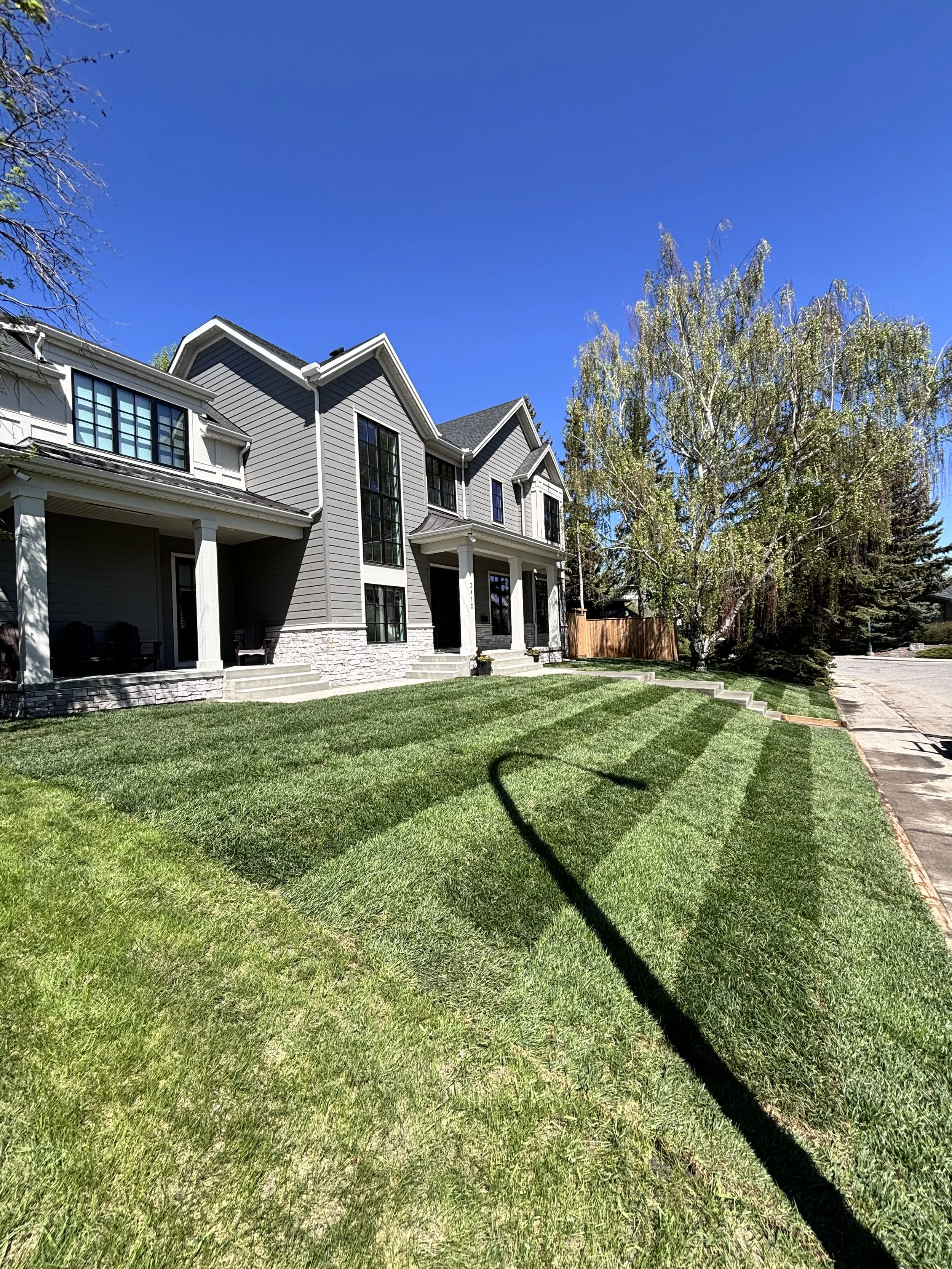 Front yard of a modern house with green lawn, trees, and a driveway under a clear blue sky.