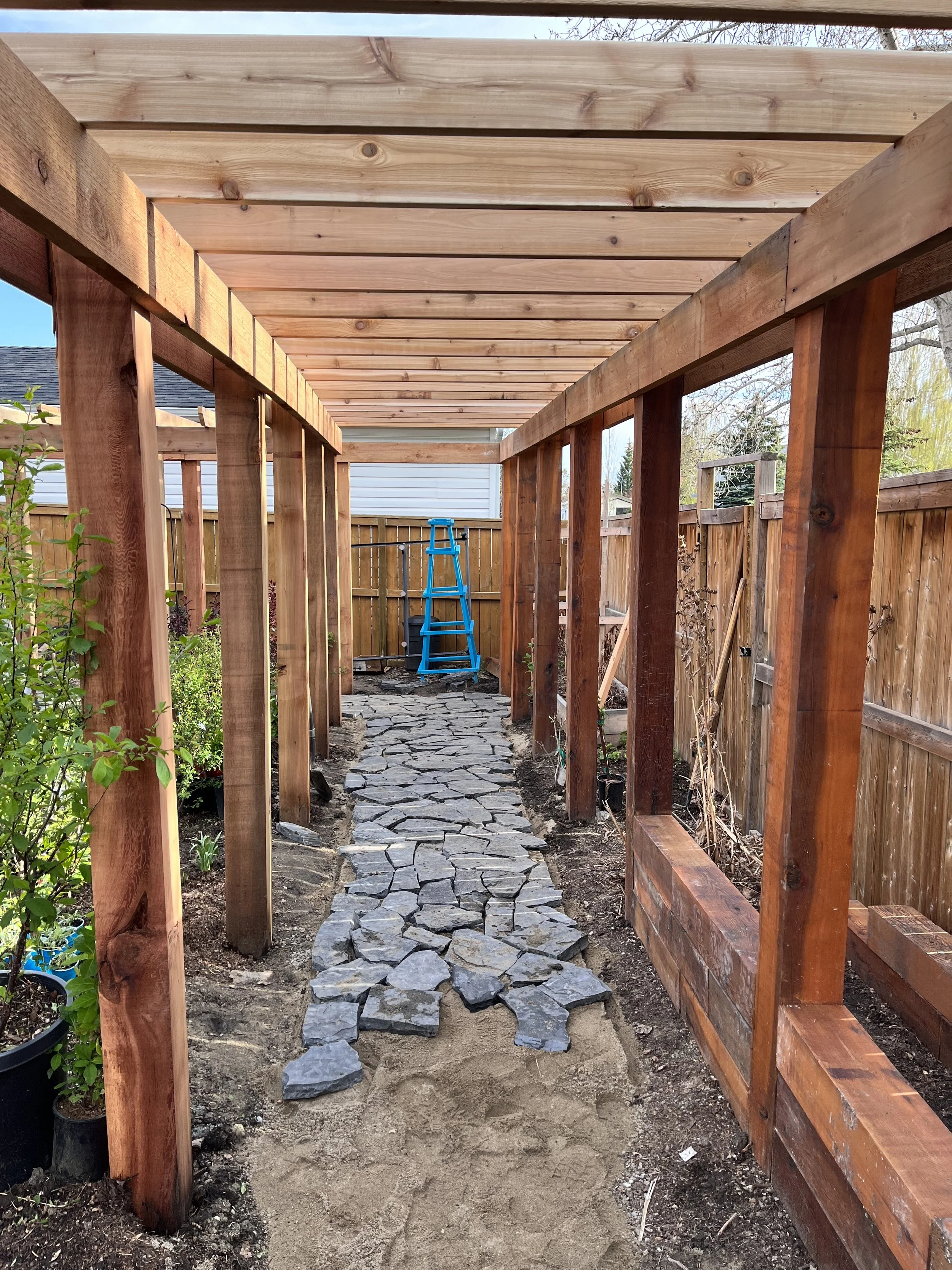 Under construction wooden pergola with stone pathway in a backyard.
