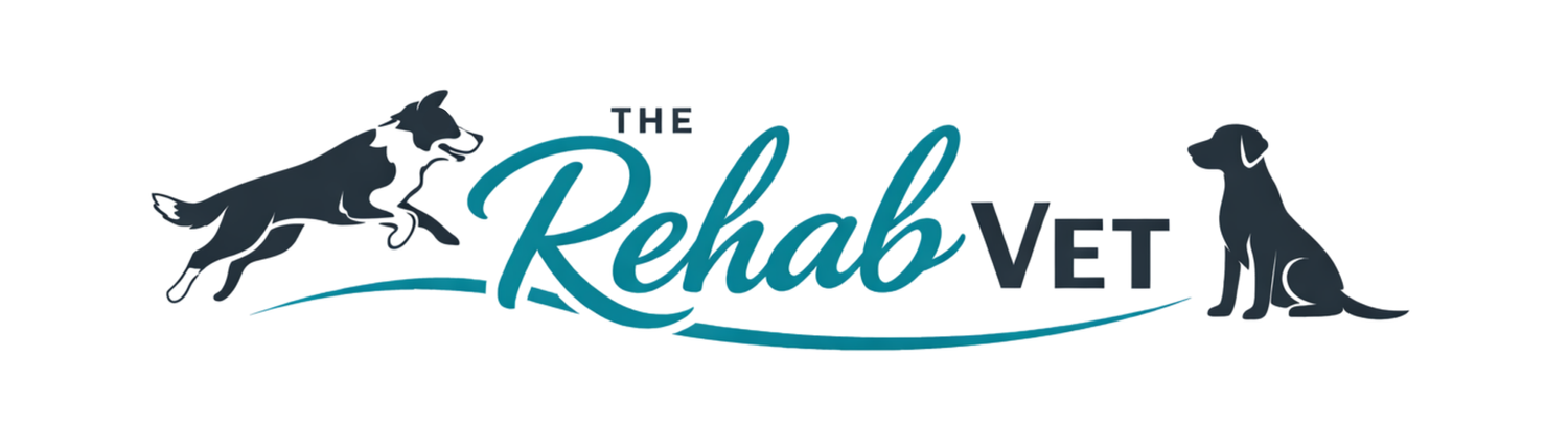 The Rehab Vet