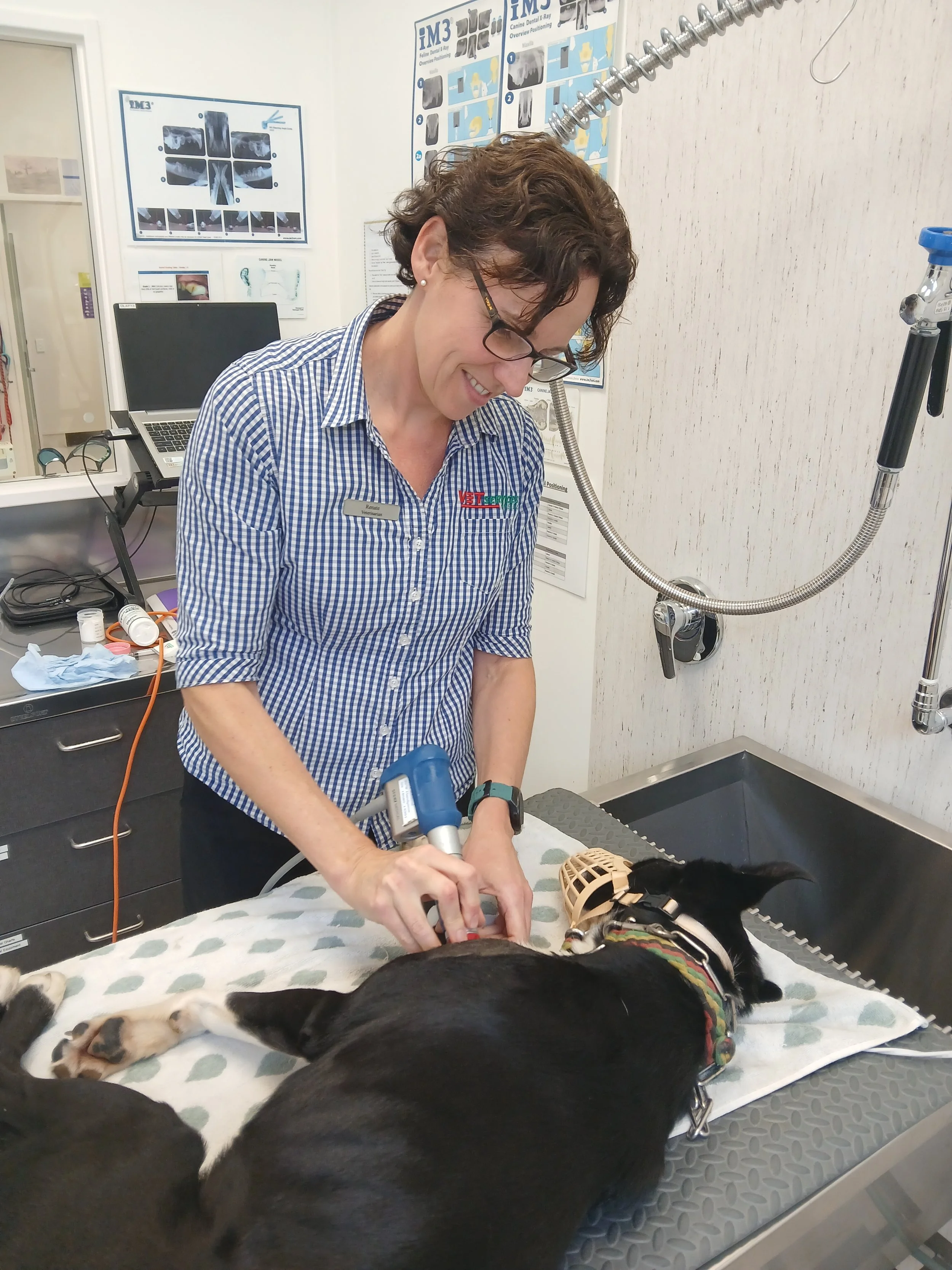 A veterinarian in a veterinary clinic preparing to examine a black dog with some tan markings on its paws and face. The dog is lying on an examination table covered with a white towel that has green leaves. The veterinarian is wearing glasses, a checkered shirt, and is holding a medical instrument. The background features diagnostic posters and medical equipment.