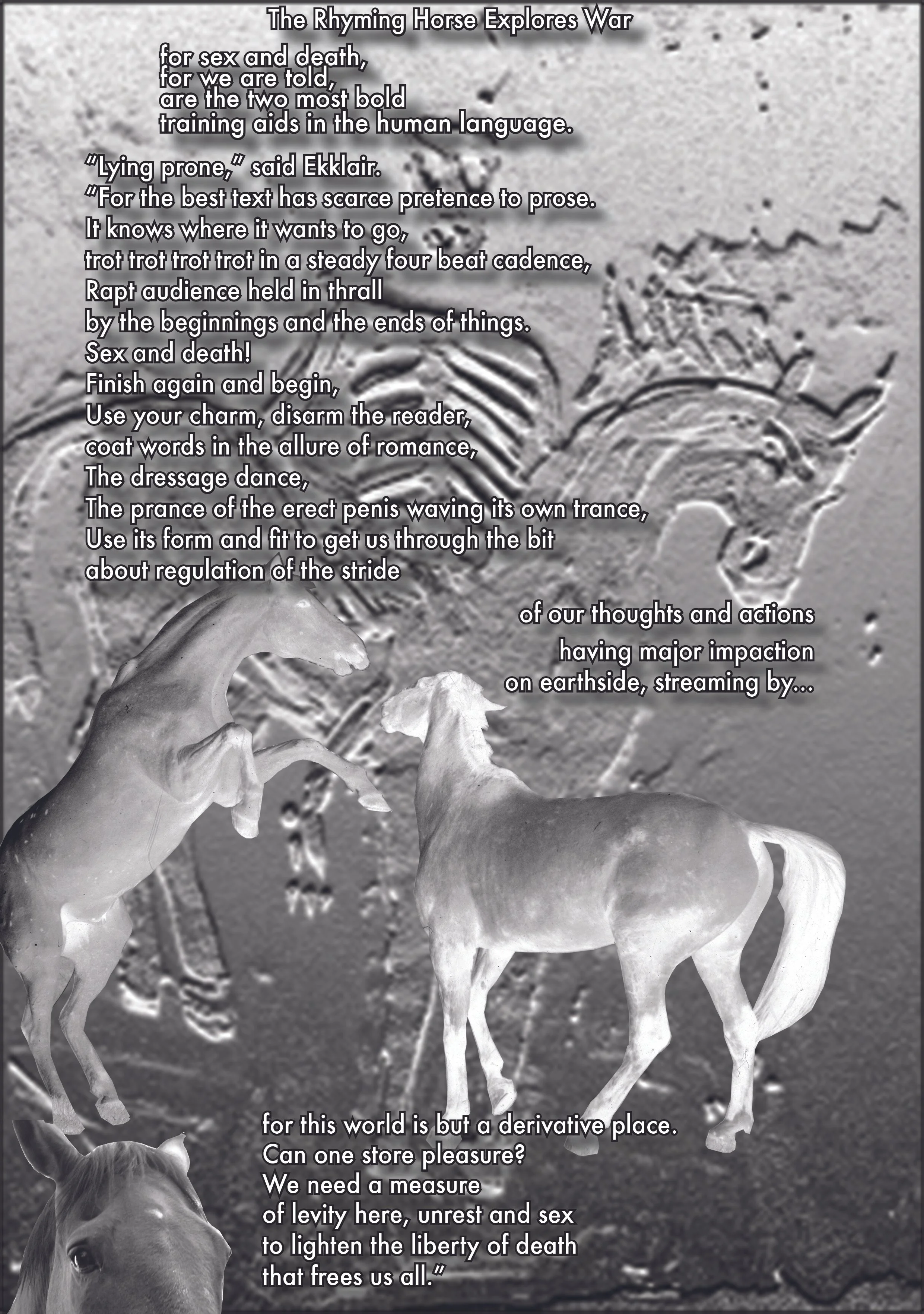Back Cover Black Horse jpeg.jpg