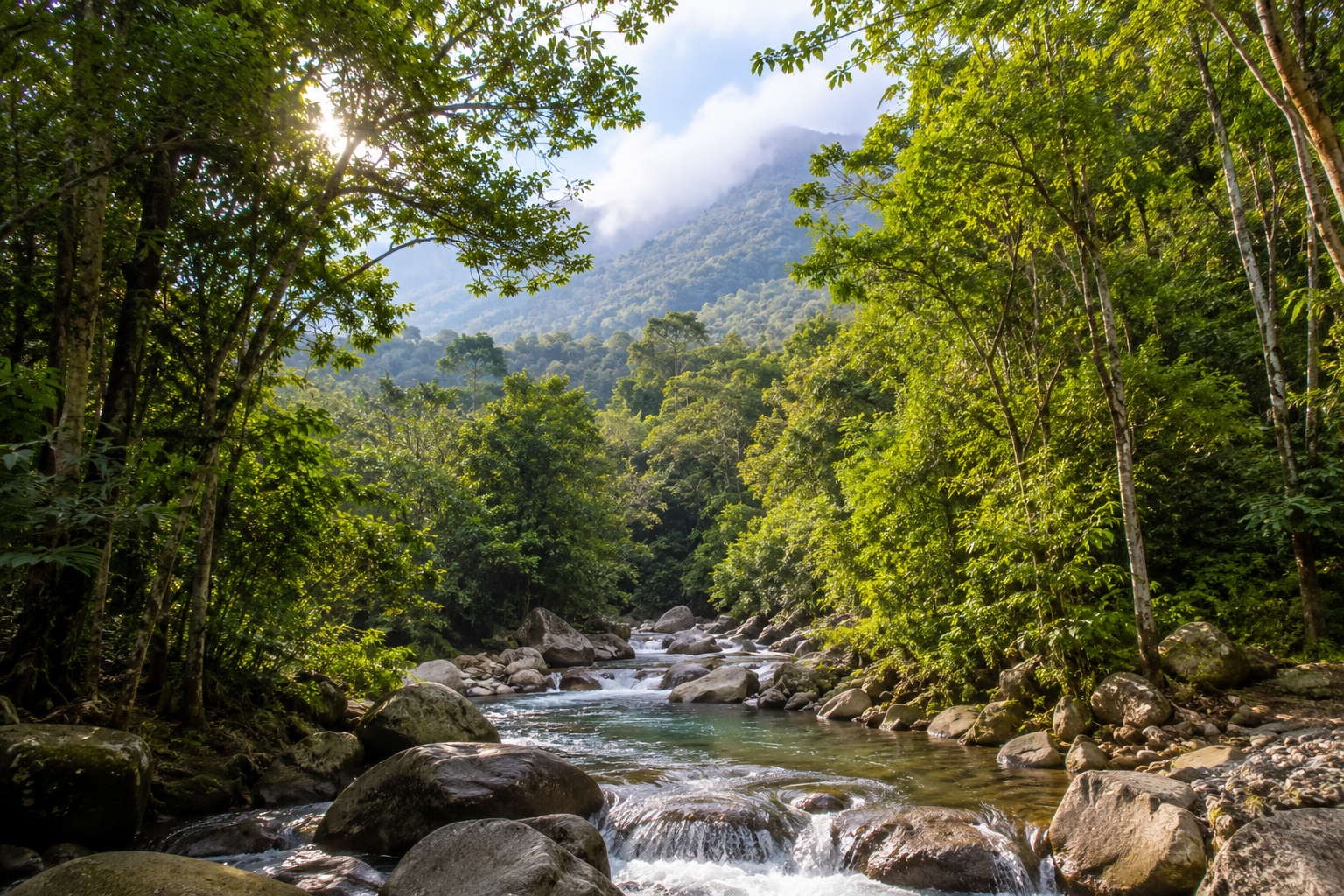 Un río de aguas cristalinas atraviesa una selva verde con montañas en el fondo, bajo un cielo parcialmente nublado.