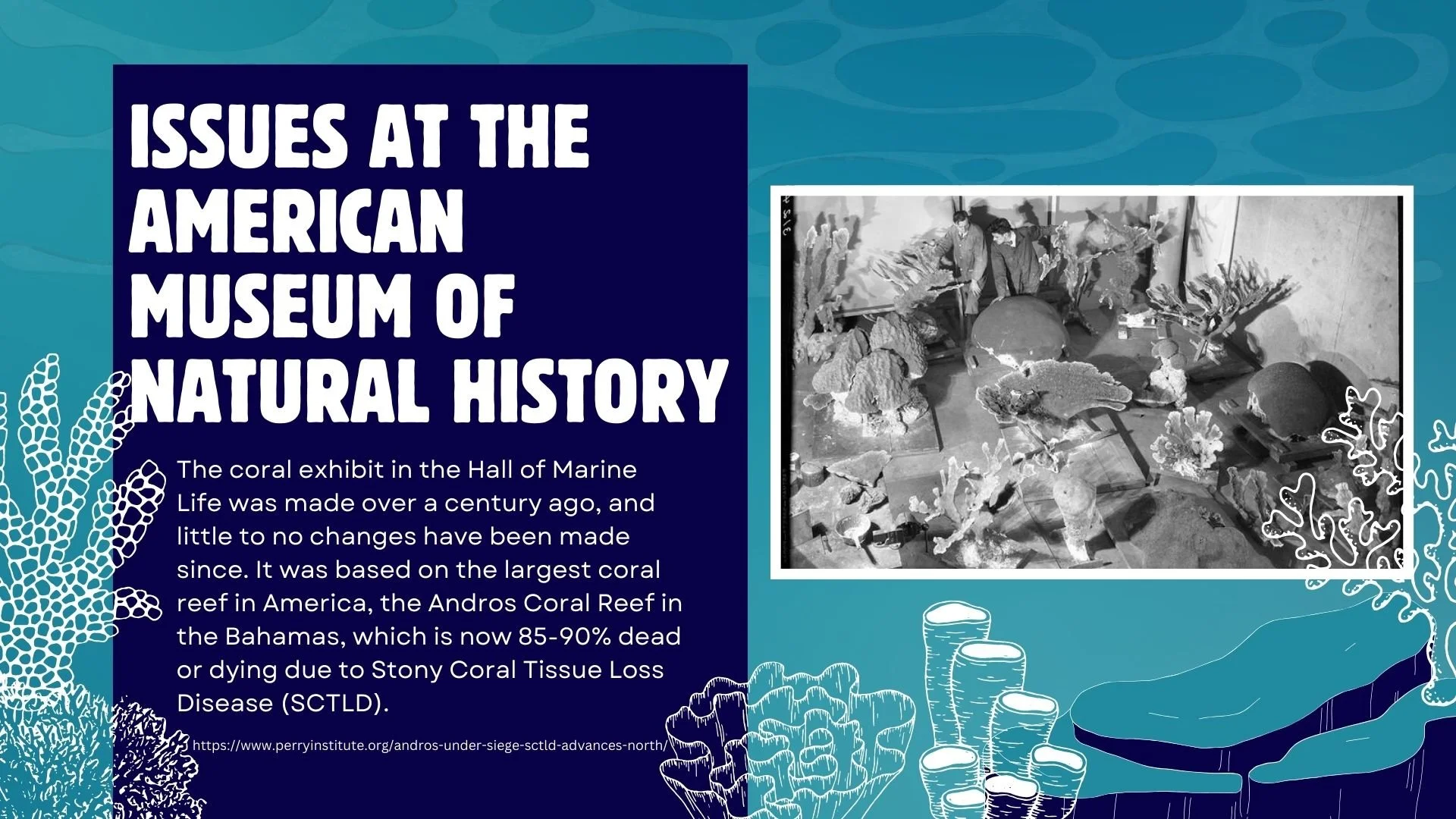 Blue and Purple Illustrative Colorful Marine Conservation Presentation.zip - 13.jpg