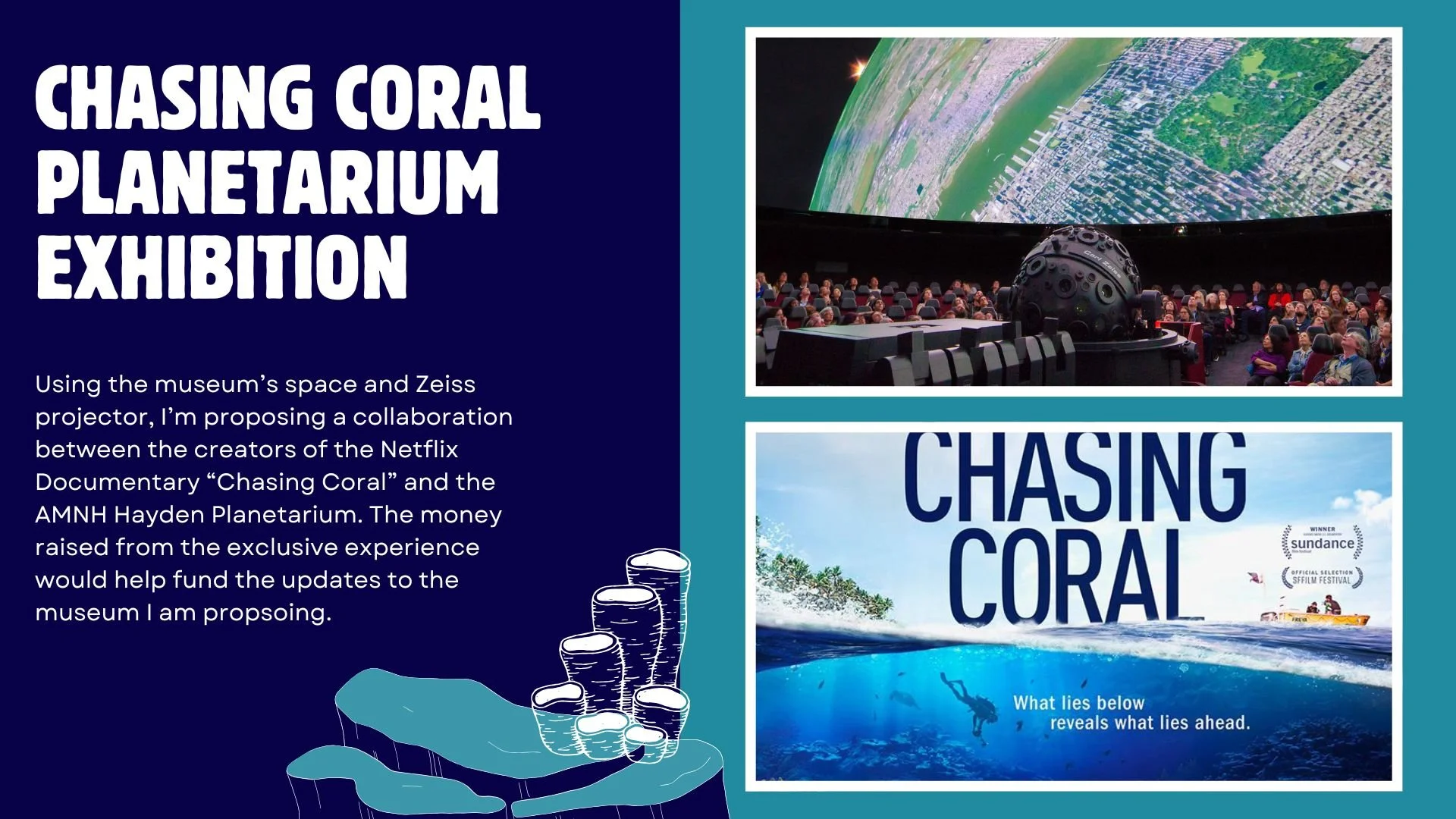 Blue and Purple Illustrative Colorful Marine Conservation Presentation.zip - 21.jpg