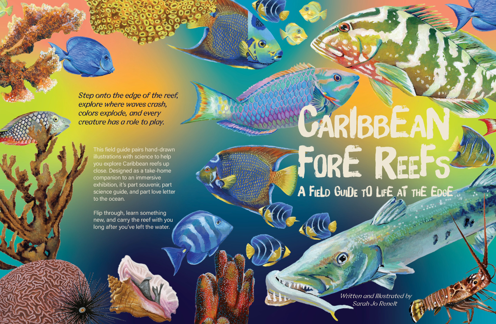 Caribbean Fore Reefs