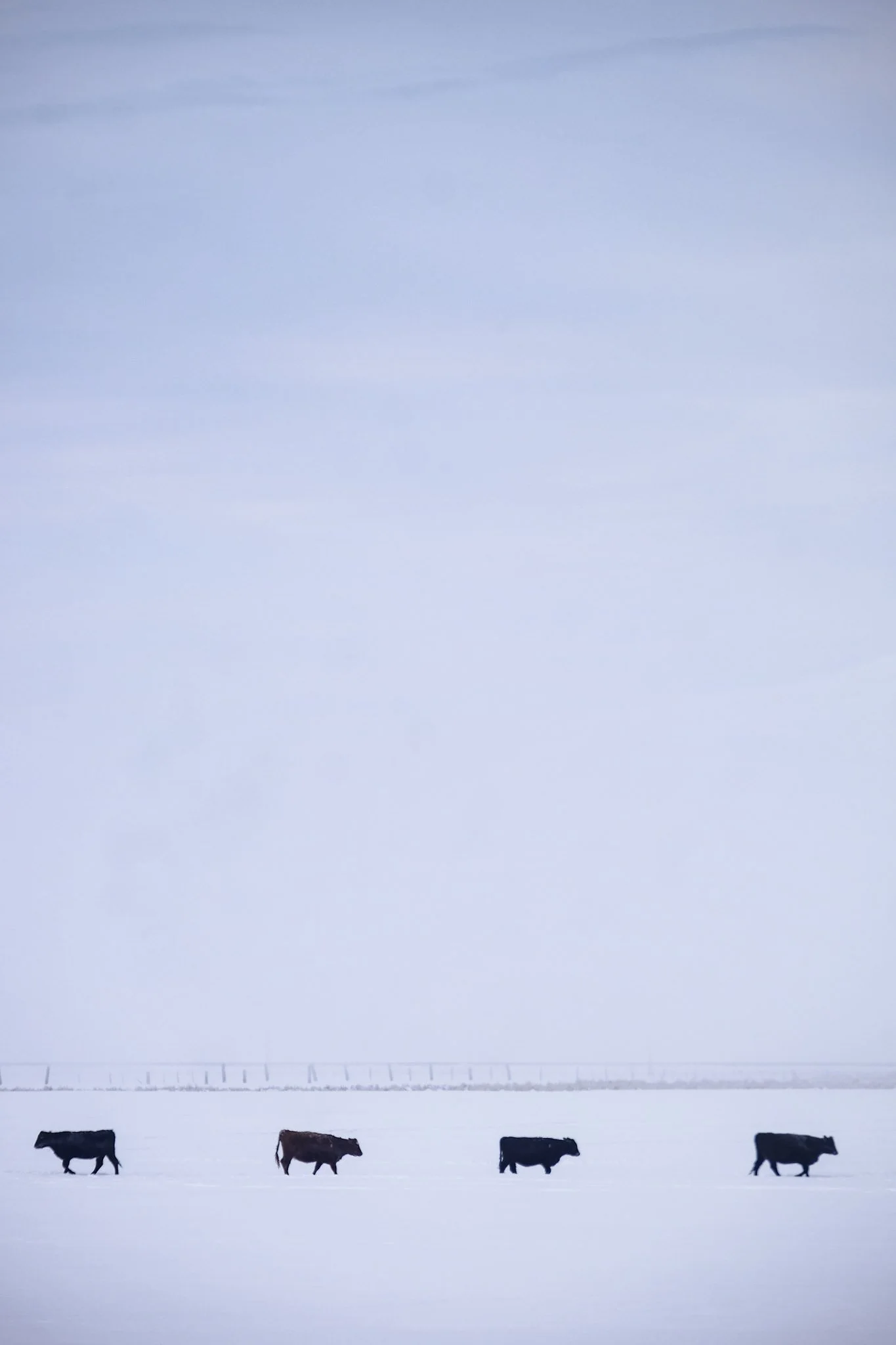 DSCF6206.jpg