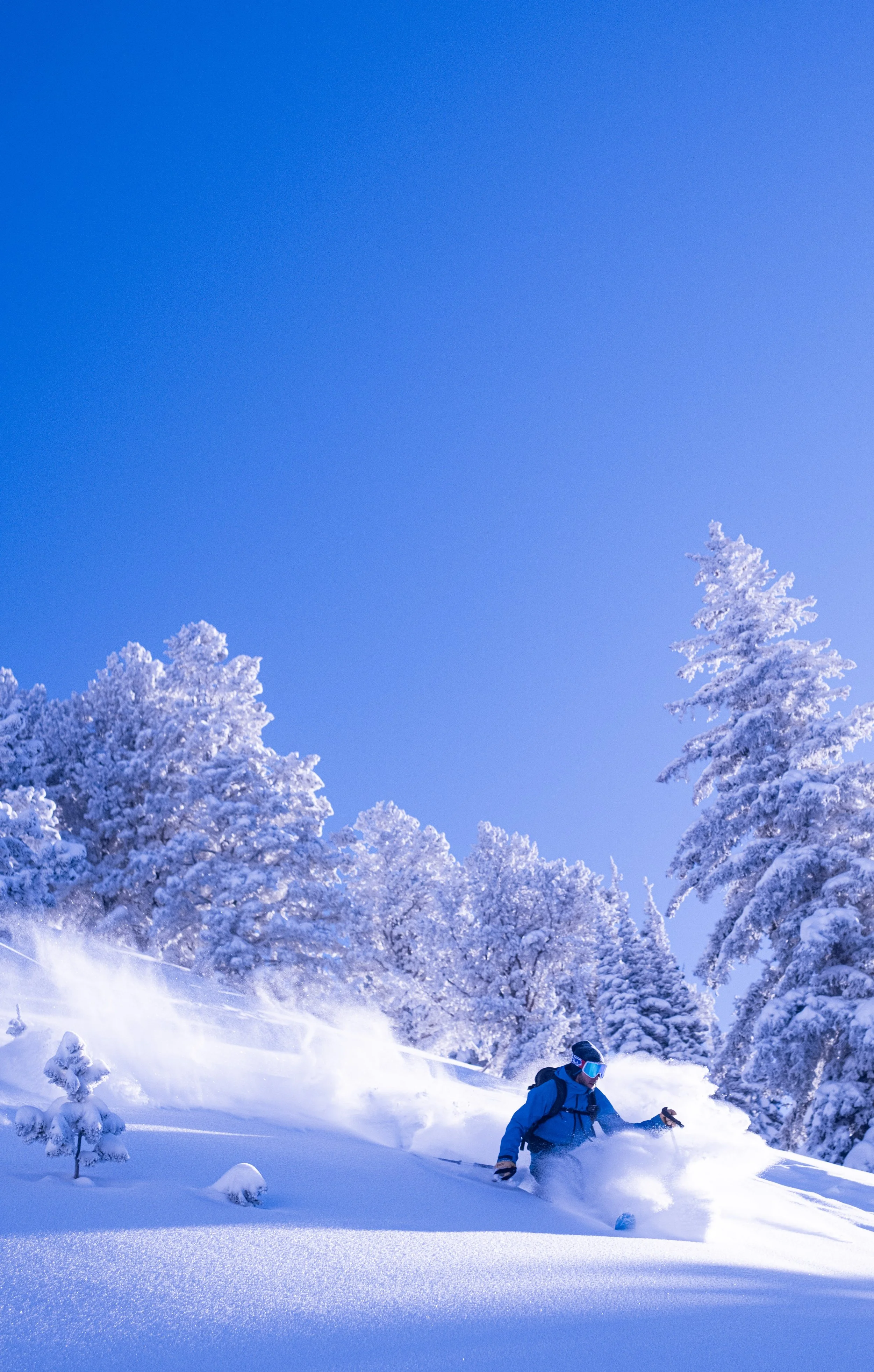 Skier in blue winter gear skiing down a snowy slope surrounded by snow-covered trees with a clear blue sky in the background.