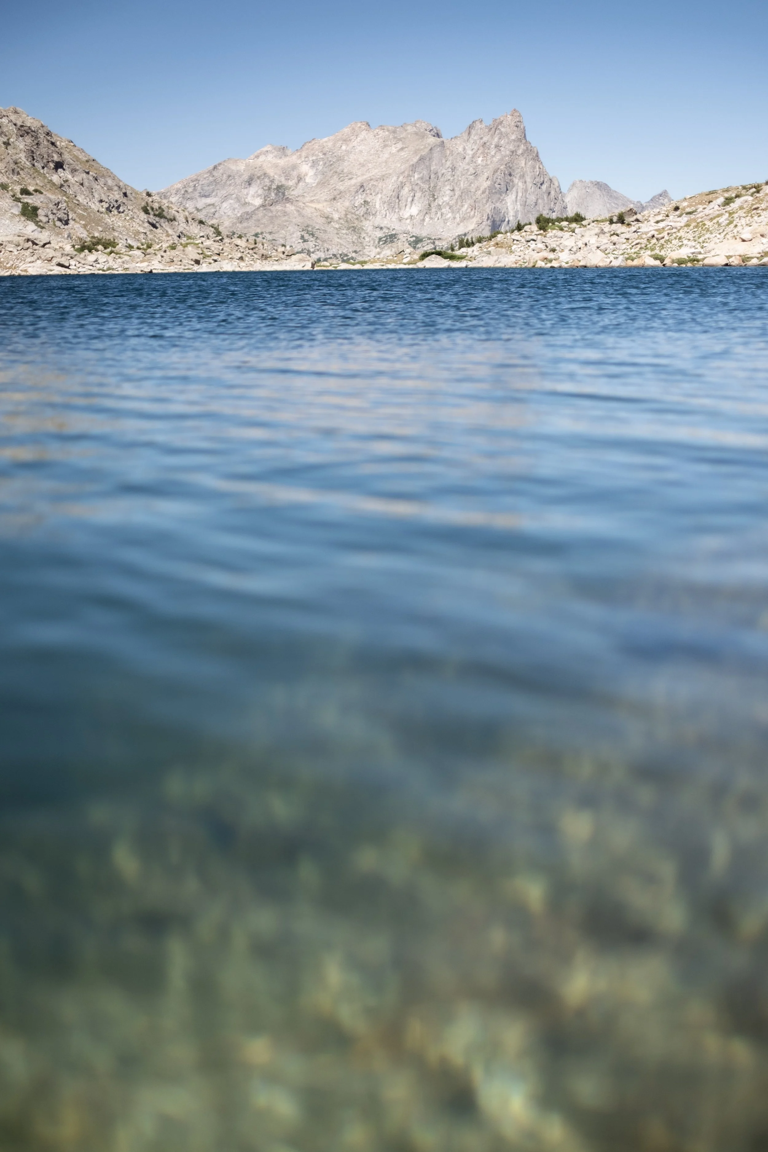 DSCF4309.jpg
