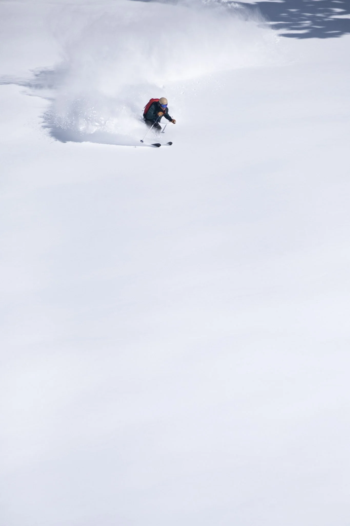DSCF8450.jpg