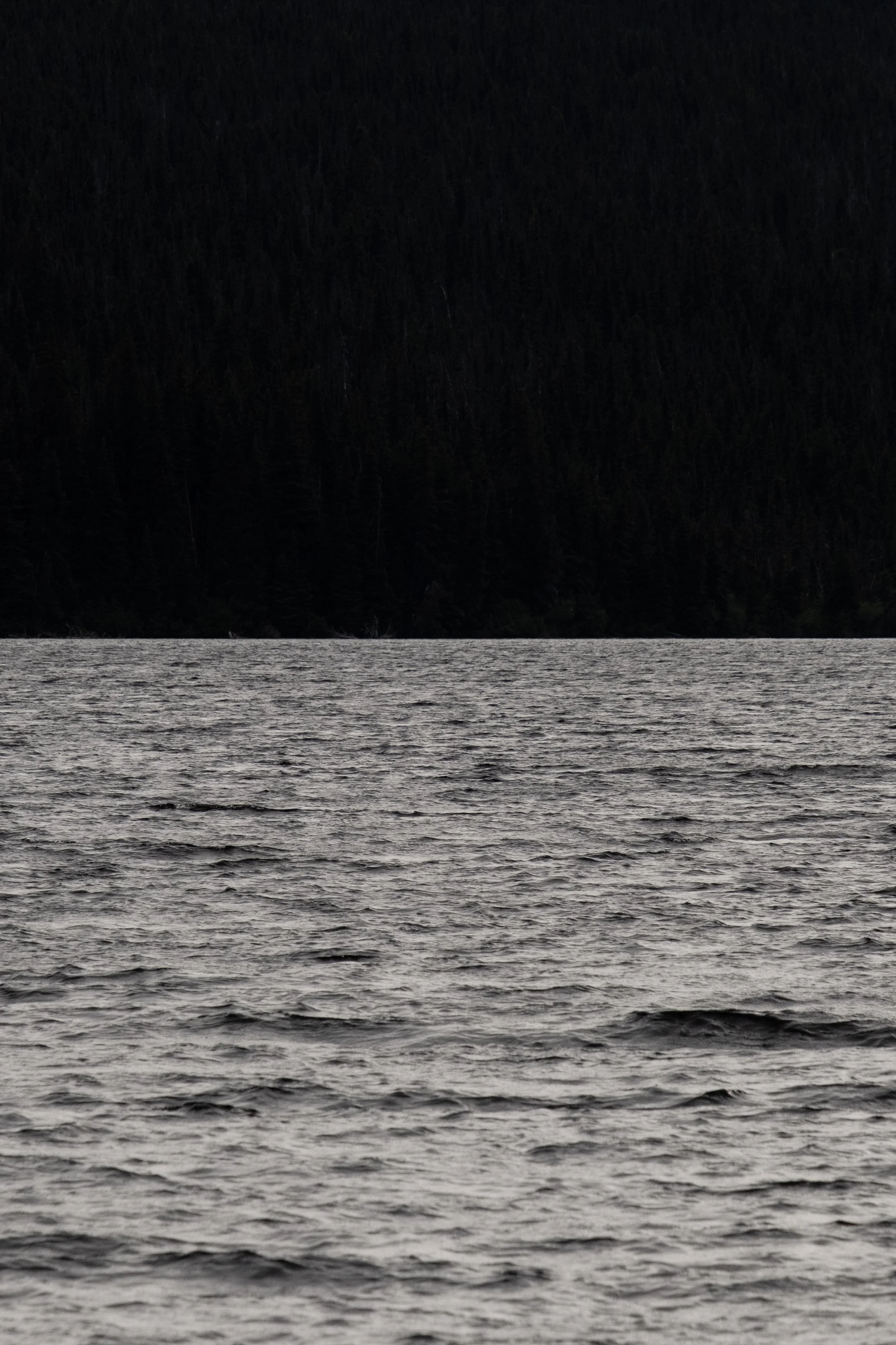 DSCF6529.jpg