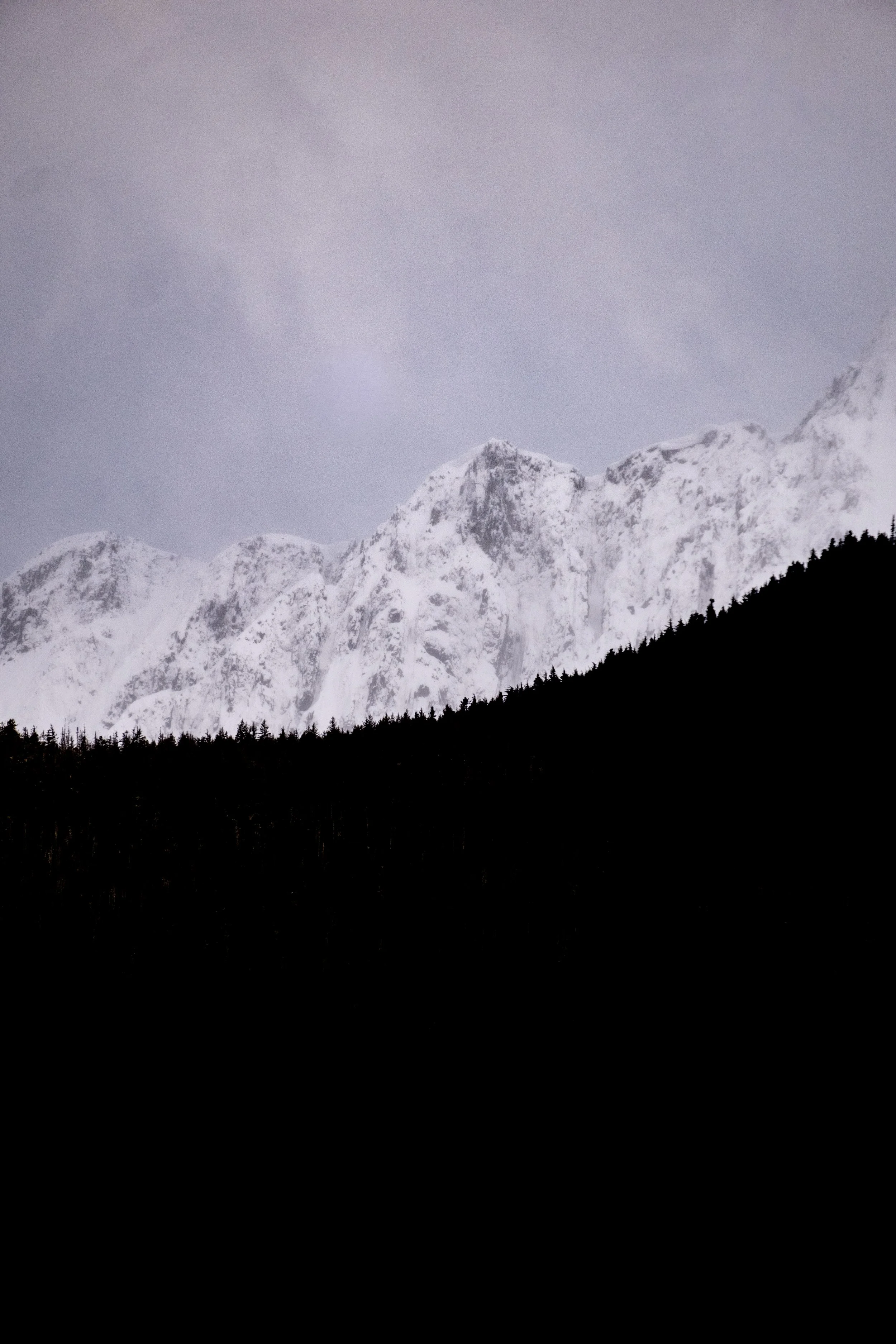DSCF1295.jpg