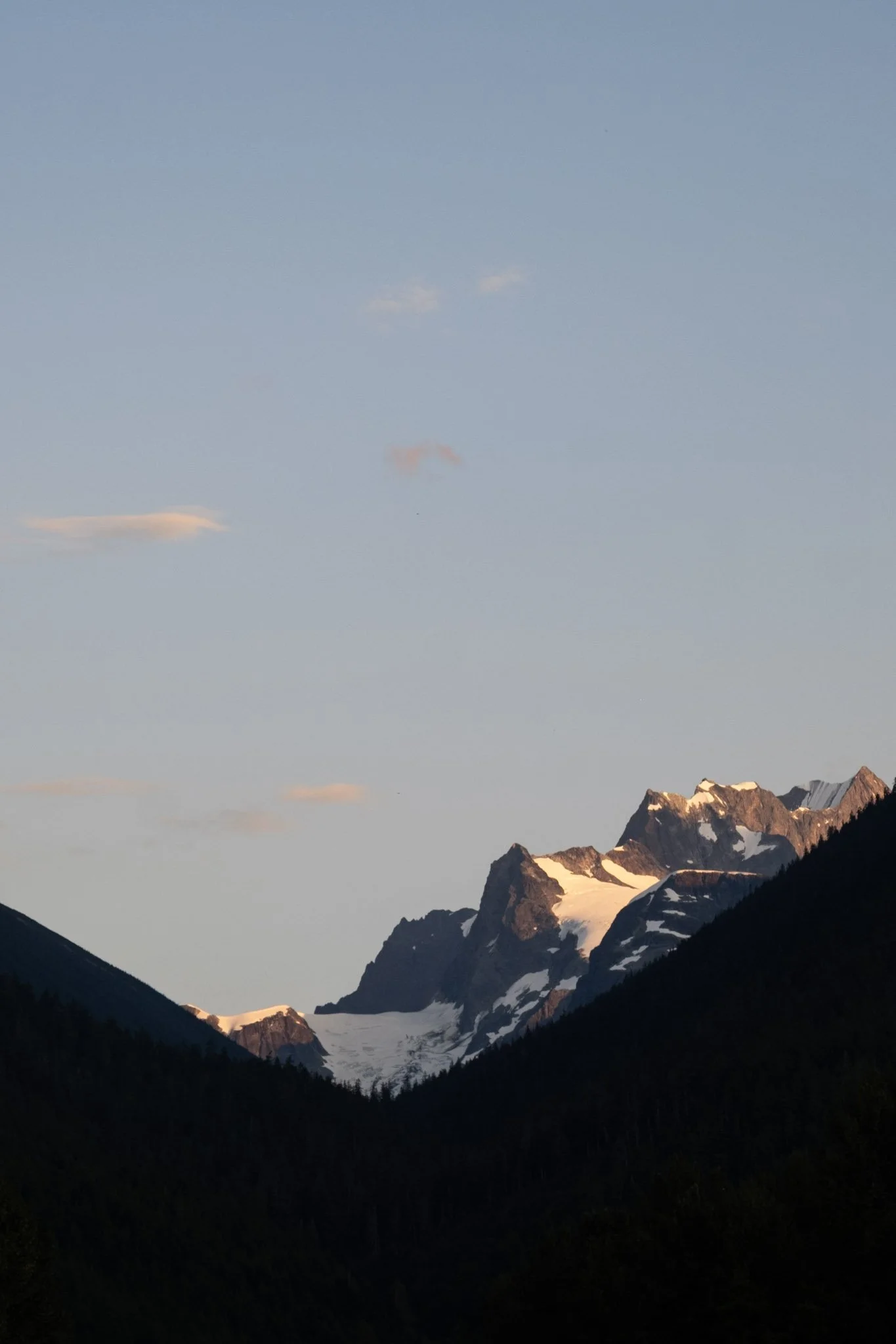 DSCF8010.jpg