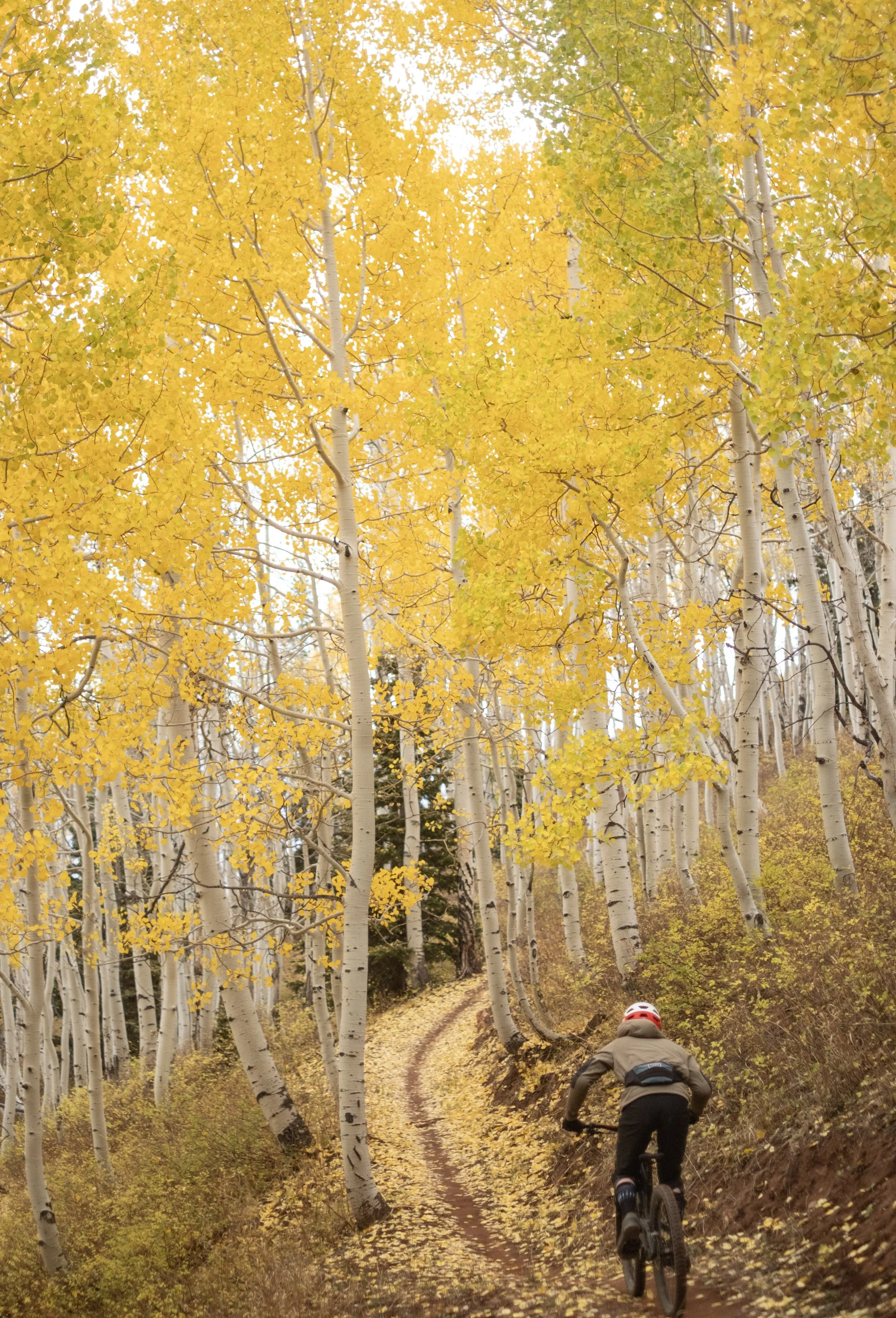 Changing of the Seasons