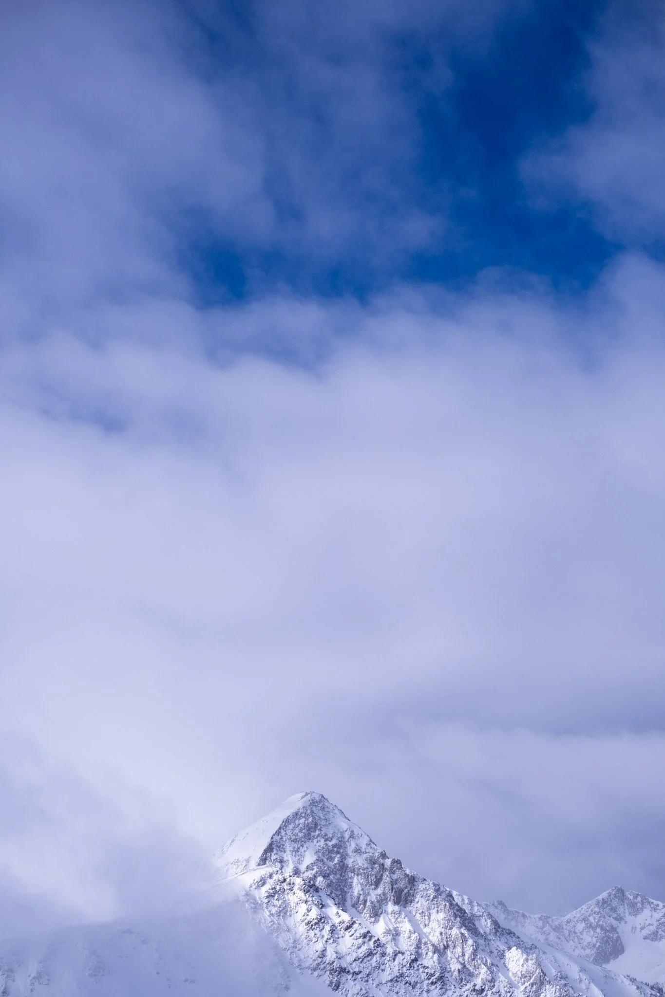 DSCF2140.jpg