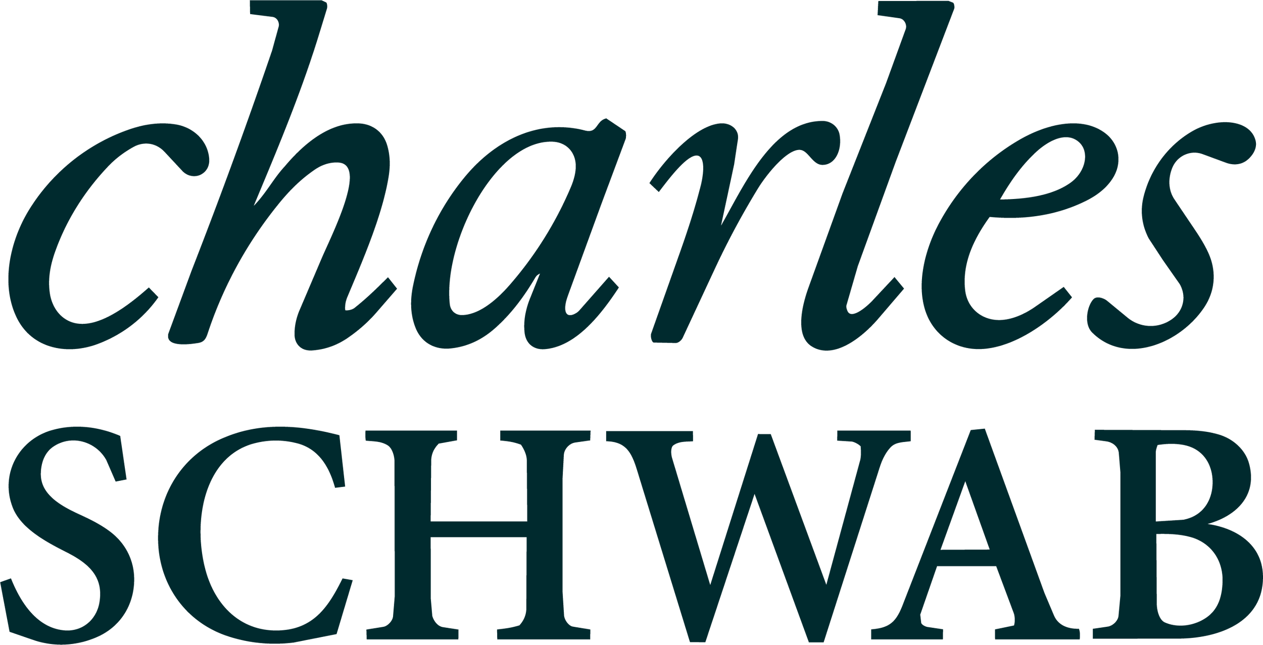 Close-up of the text 'charleroi SCHWAR' in dark teal on a white background