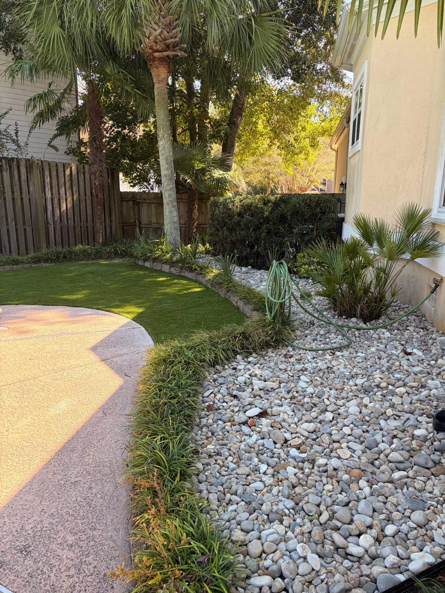 Landscaped backyard with palm trees, manicured lawn, river rock garden, shrubs, garden hose, and concrete patio beside a house