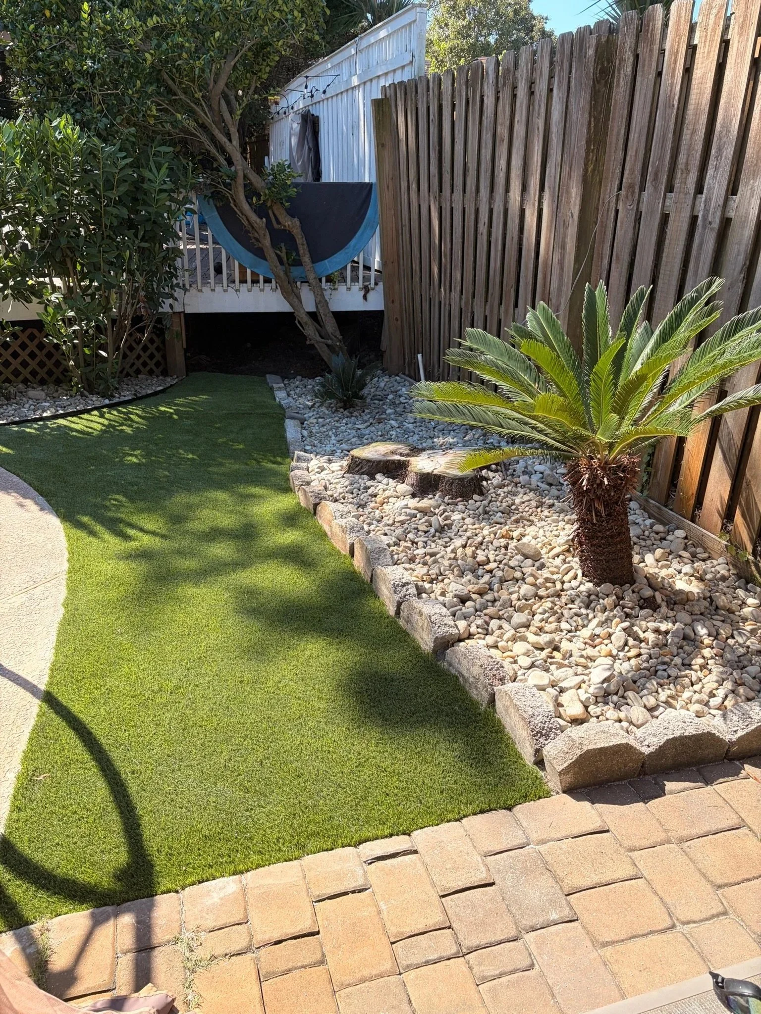 Landscaped backyard with artificial grass, white rock garden, sago palm, wooden fence, and hanging hammock
