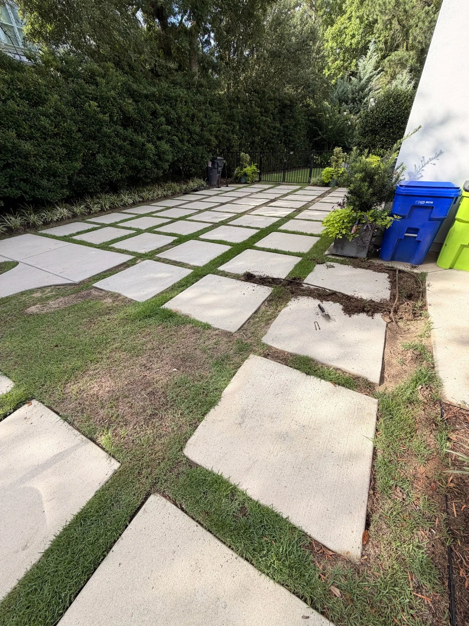 Backyard garden with large concrete stepping stones set in grass, lush hedges, potted plants, a black gate, and recycling bins.