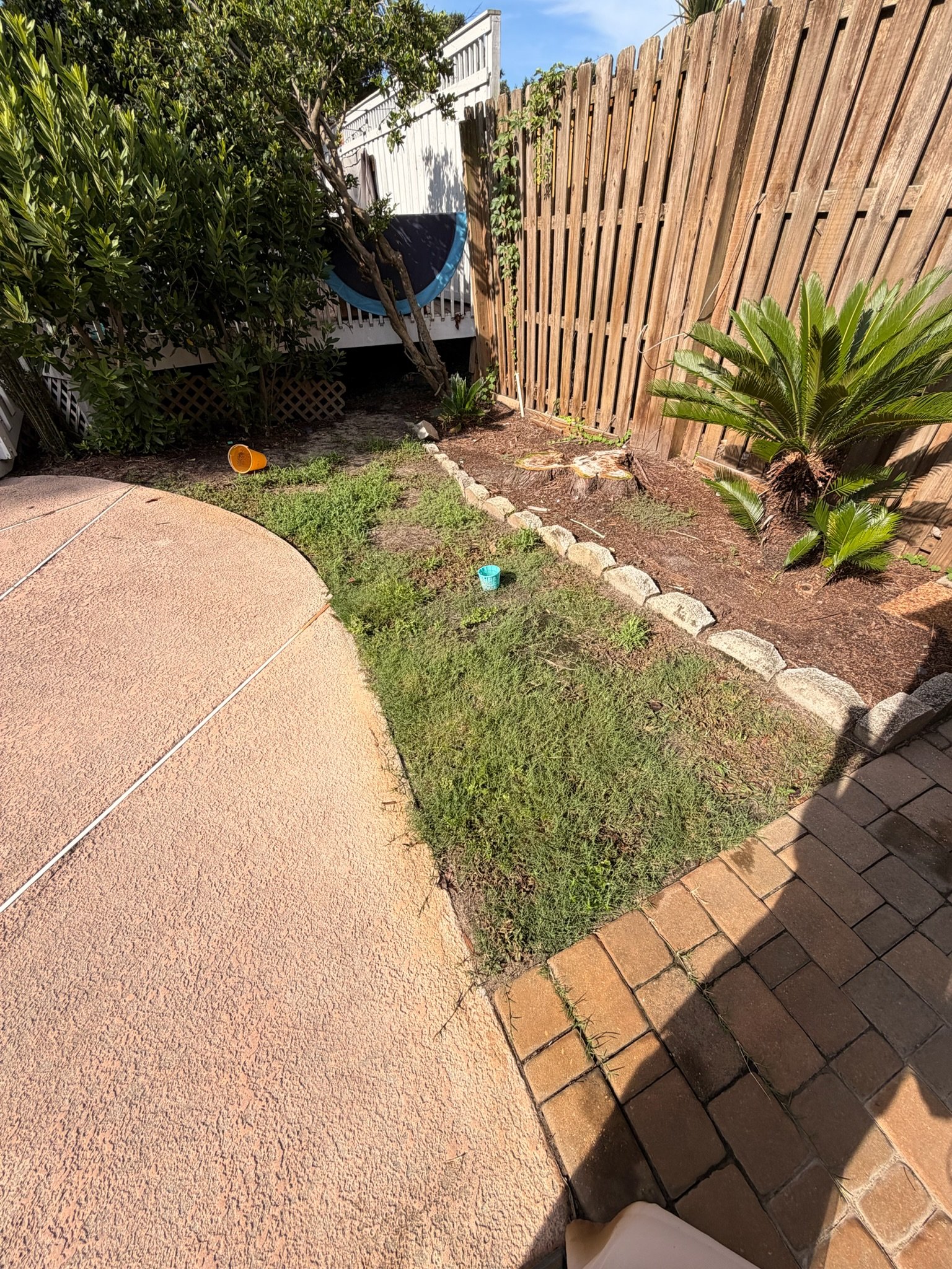 Backyard garden with palm plants, shrubs, wooden fence, brick walkway, and concrete patio