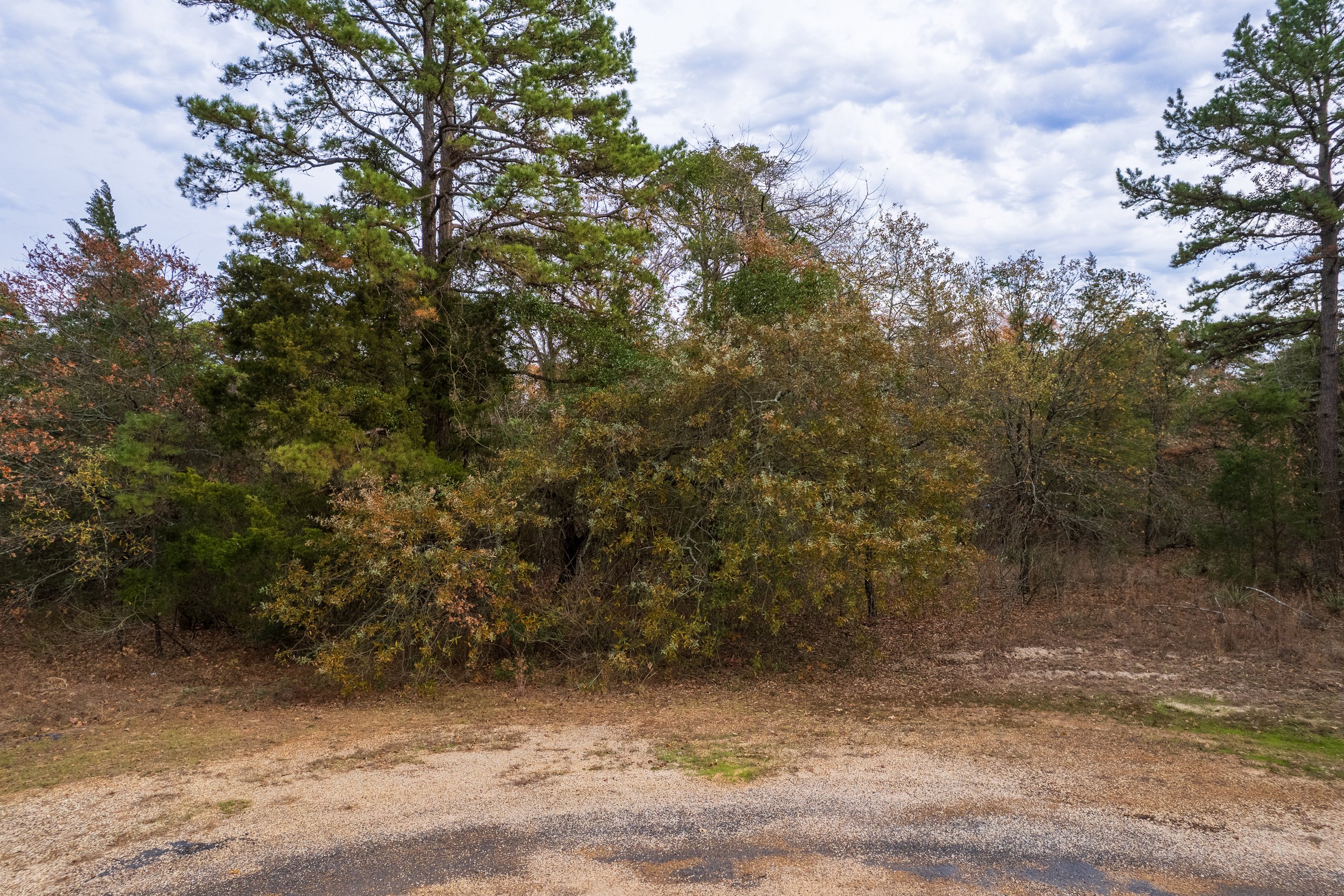 Lot 450 Pine Valley-4.jpg