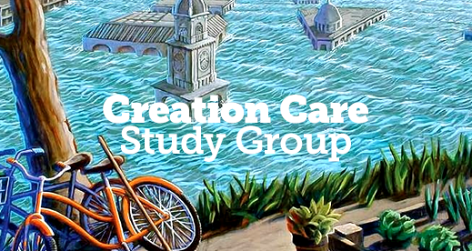 New Book Study: Care for Creation