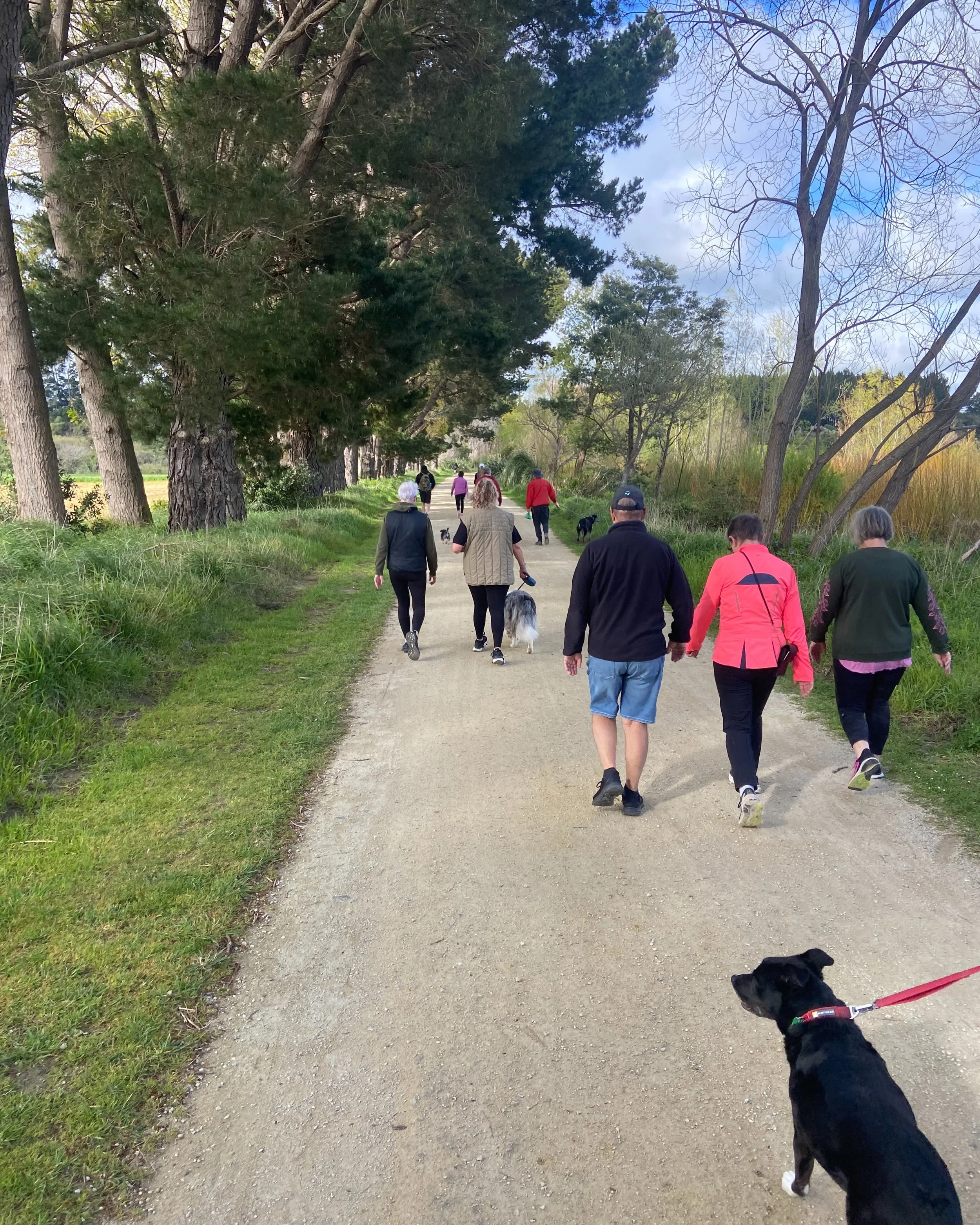 A wee spring walk for the Avenue clients.