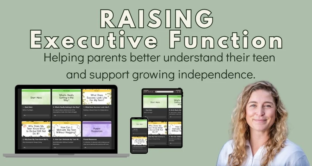 Why We Created Raising Executive Function