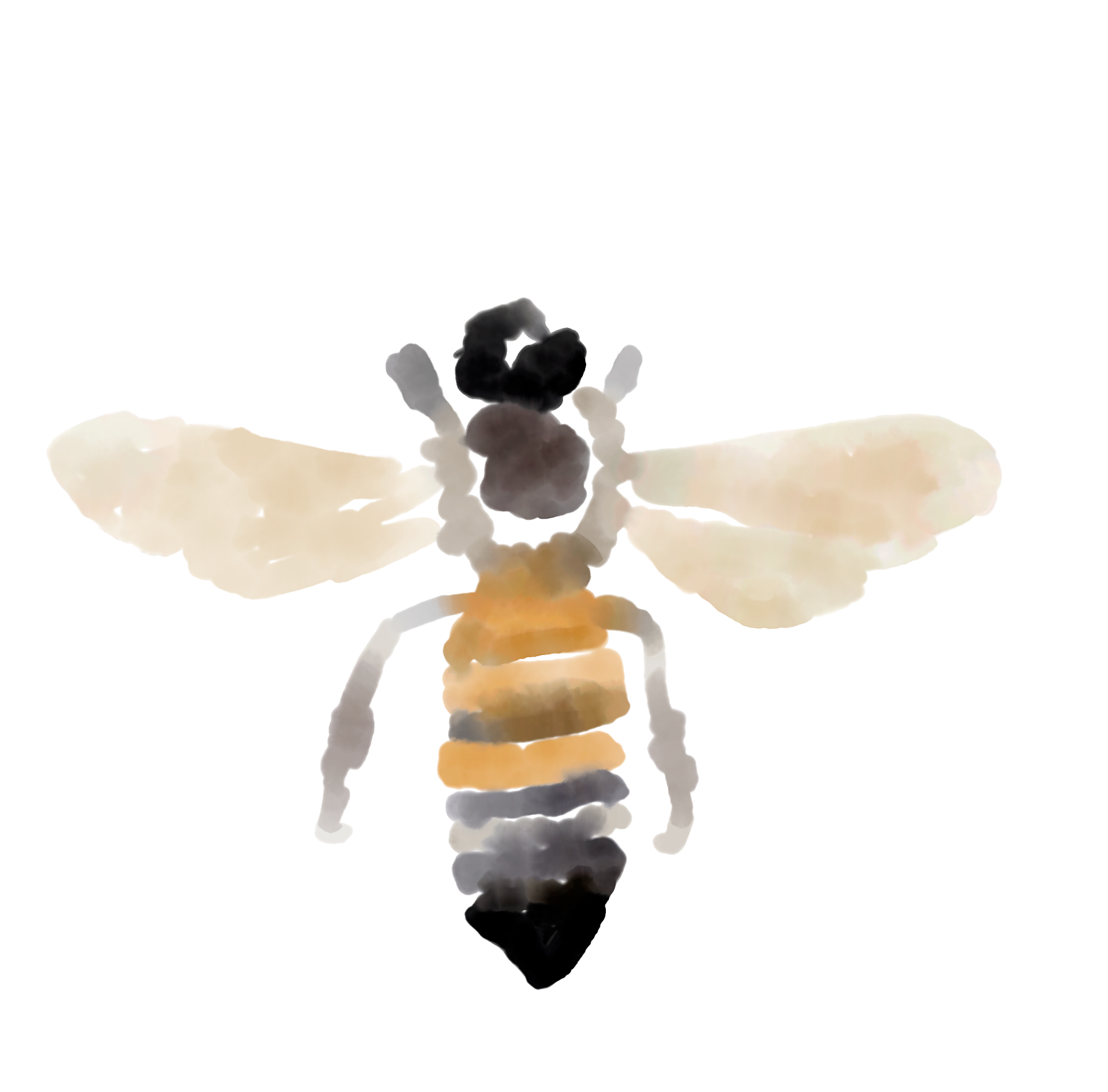 The Bee Project