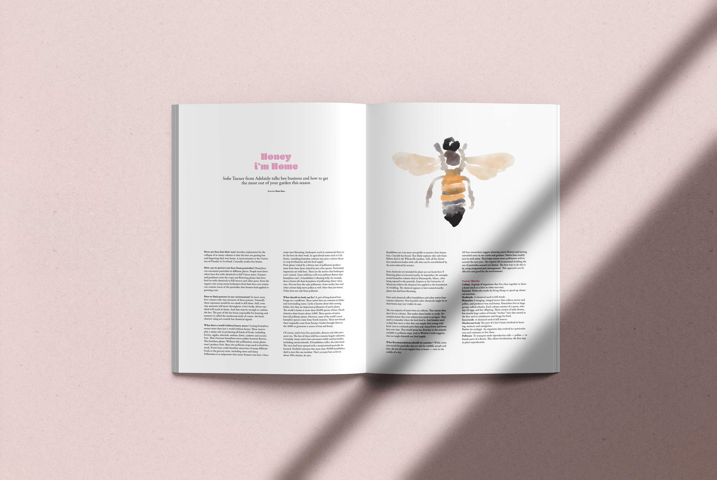 bee portfolio 1.png