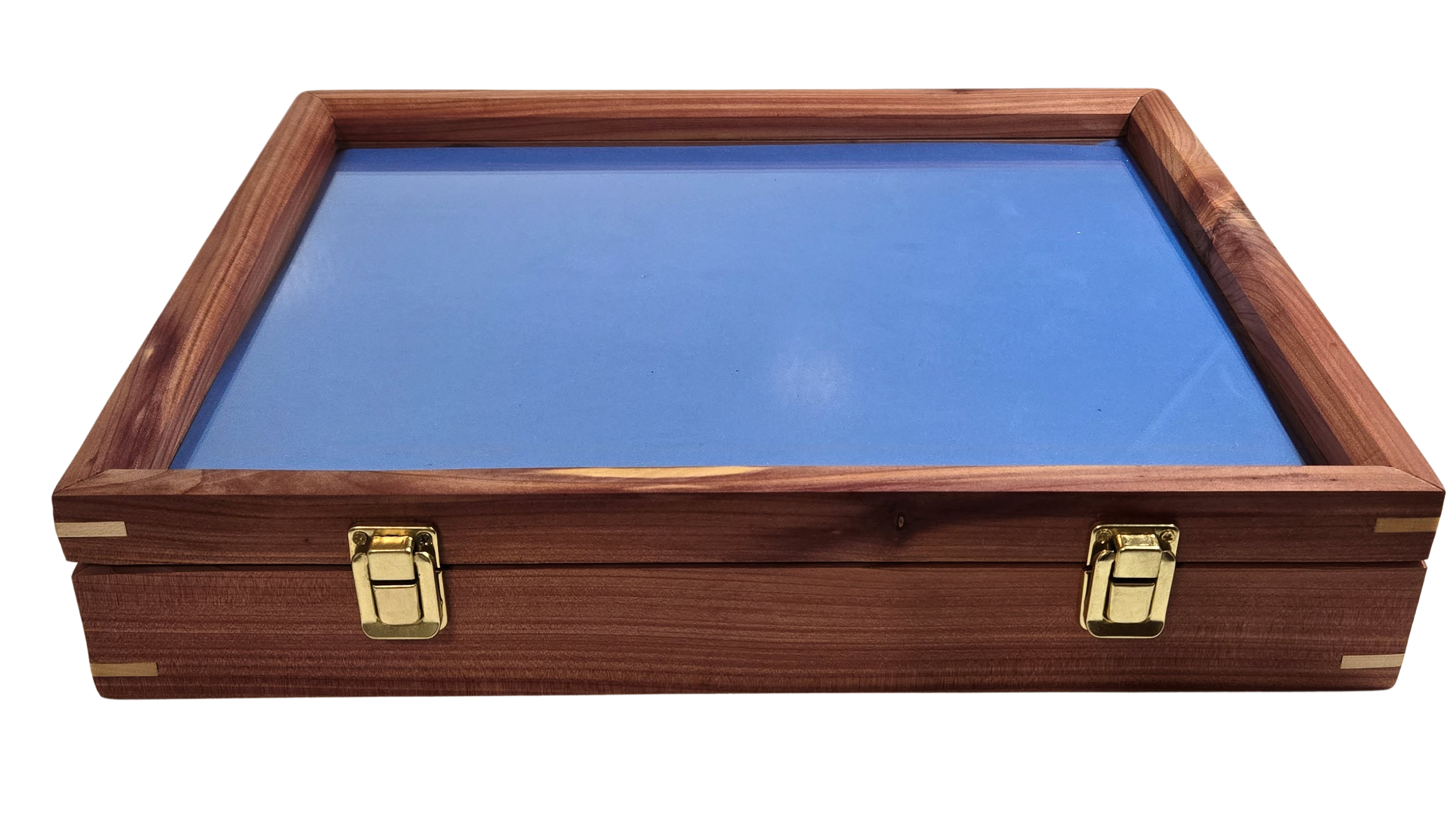 Display Box Blue.png