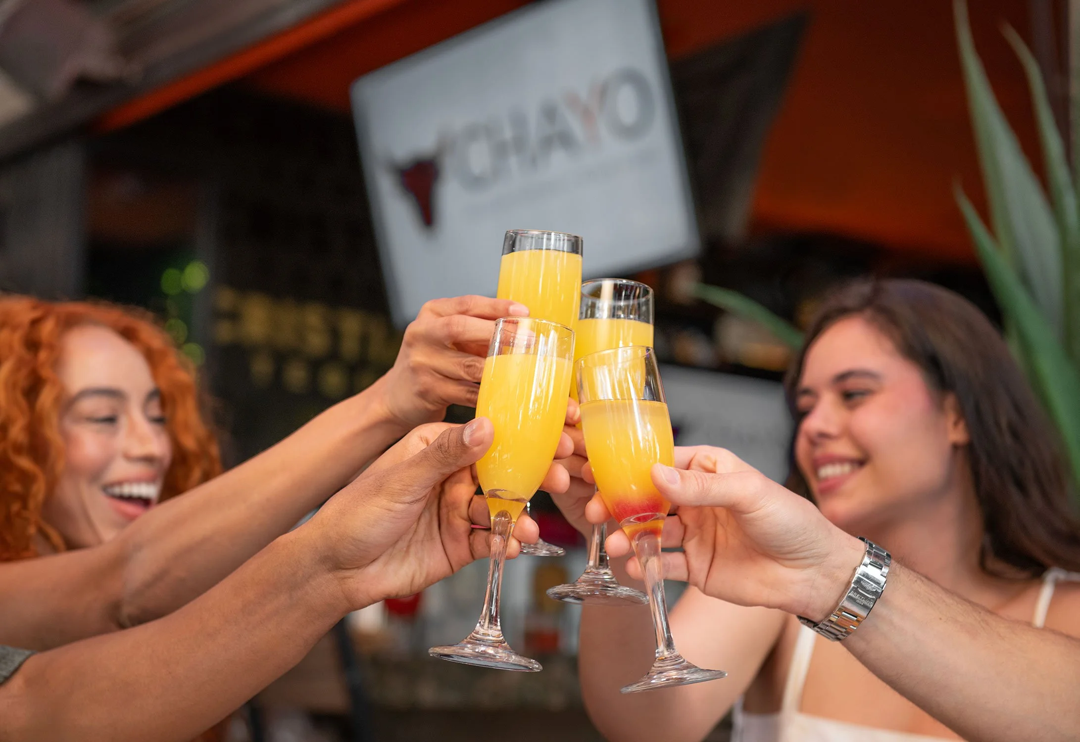 Chayo_Brunch_6Web.jpg