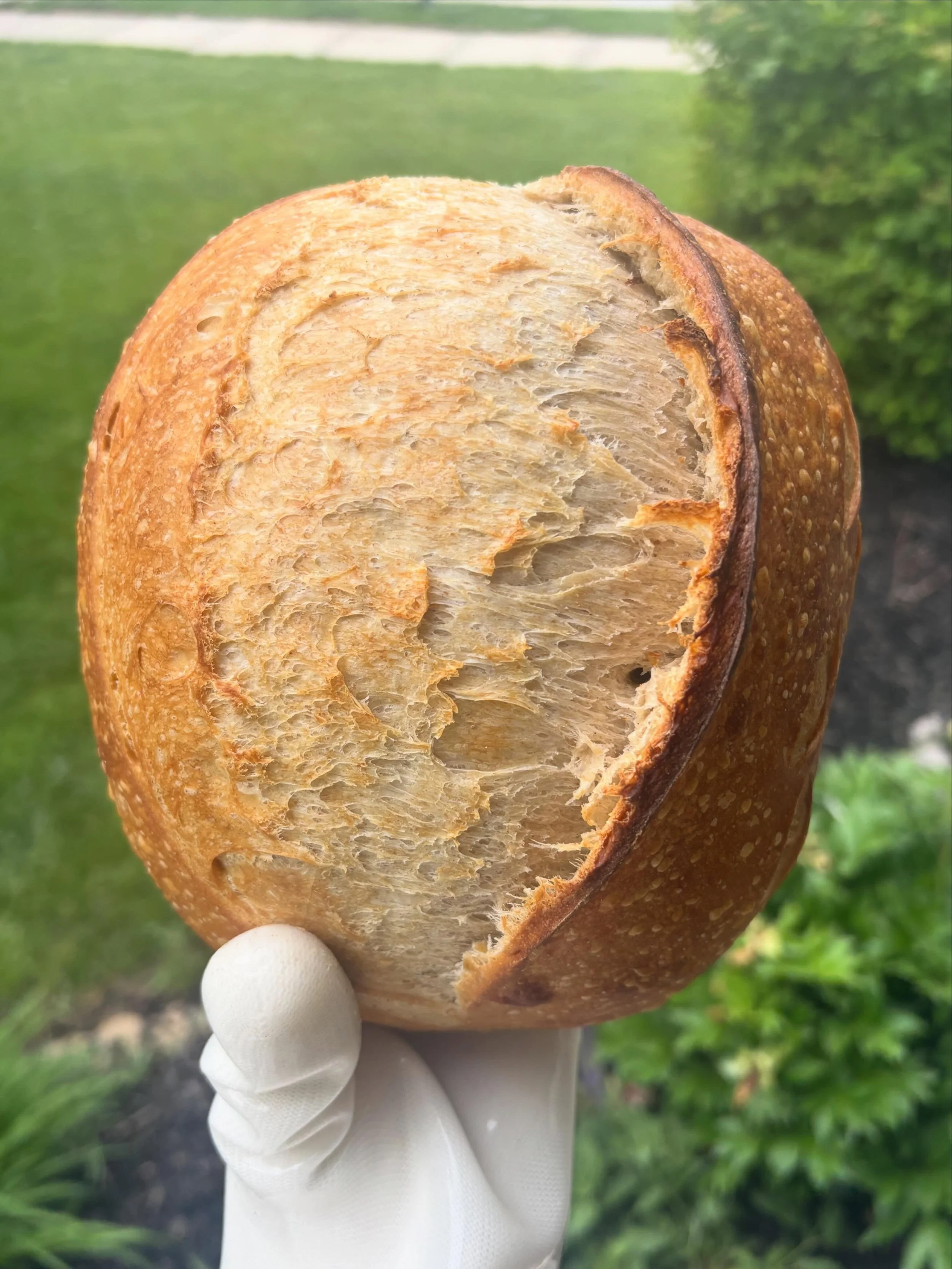 &ldquo;The neighbor girl is out taking pictures of her bread again&rdquo;&mdash; my neighbors probably 😅

No orders this week, but will be back for preorders on 5/27 with pickup on 6/1!