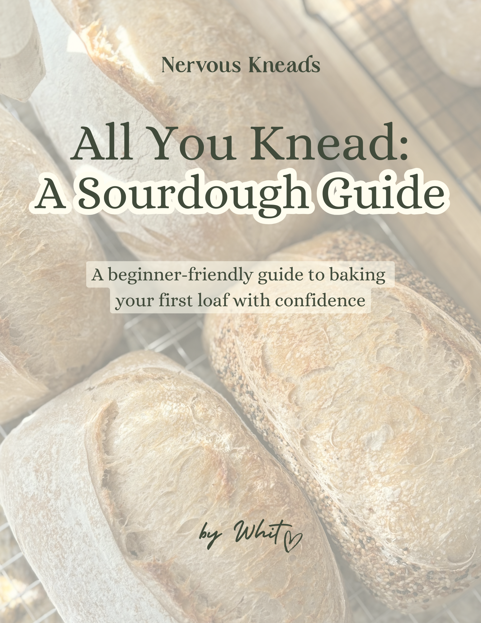 Sourdough Starter Kit