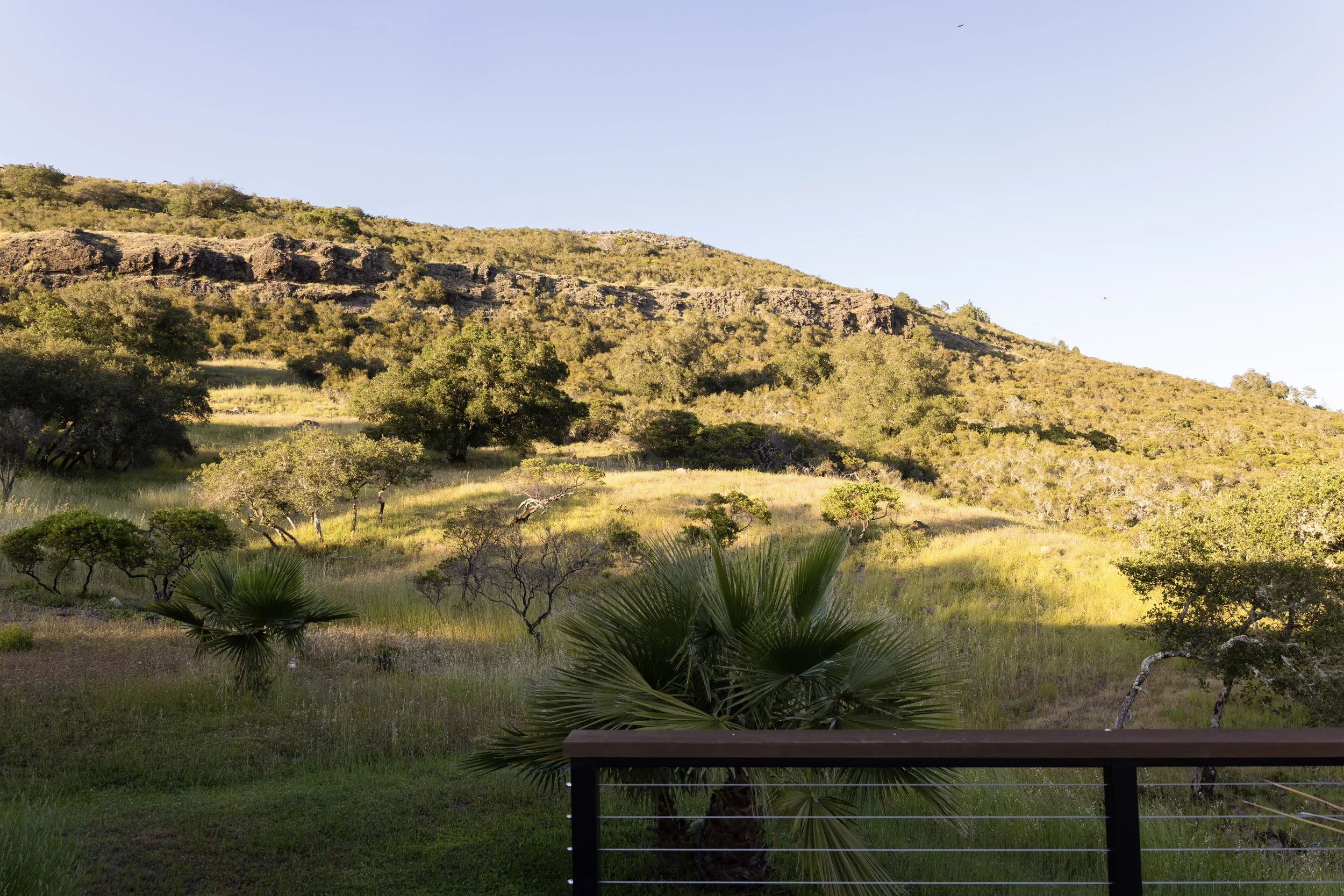 A scenic view of a grassy area with trees and shrubs in the foreground, and a hillside with rocks and sparse vegetation under a clear blue sky.
