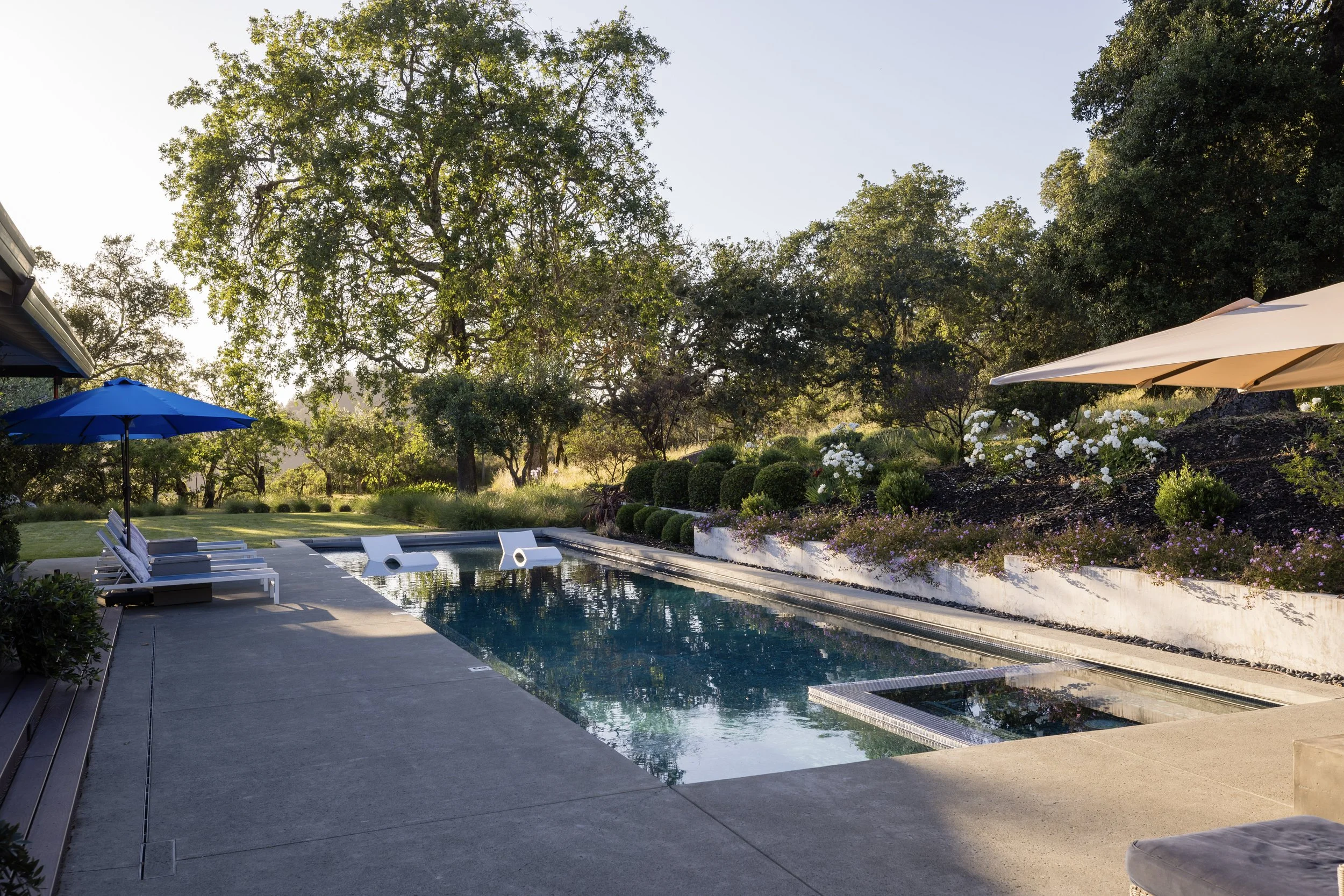 A backyard swimming pool surrounded by lounge chairs, pool umbrellas, and lush trees and bushes, with sunlight filtering through the trees.