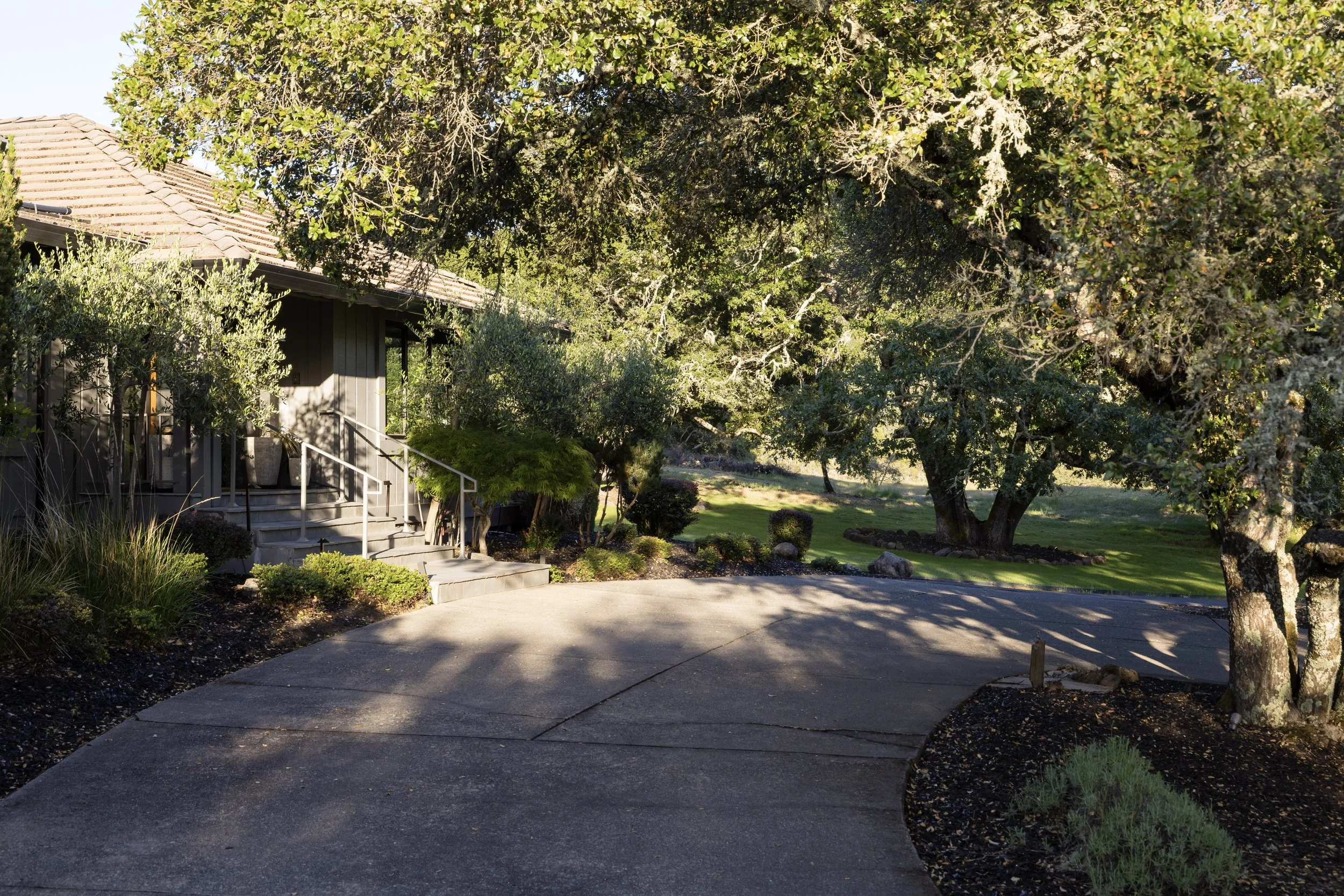 A residential house surrounded by lush trees and a landscaped yard with a curved driveway leading to the entrance, shaded by large trees.